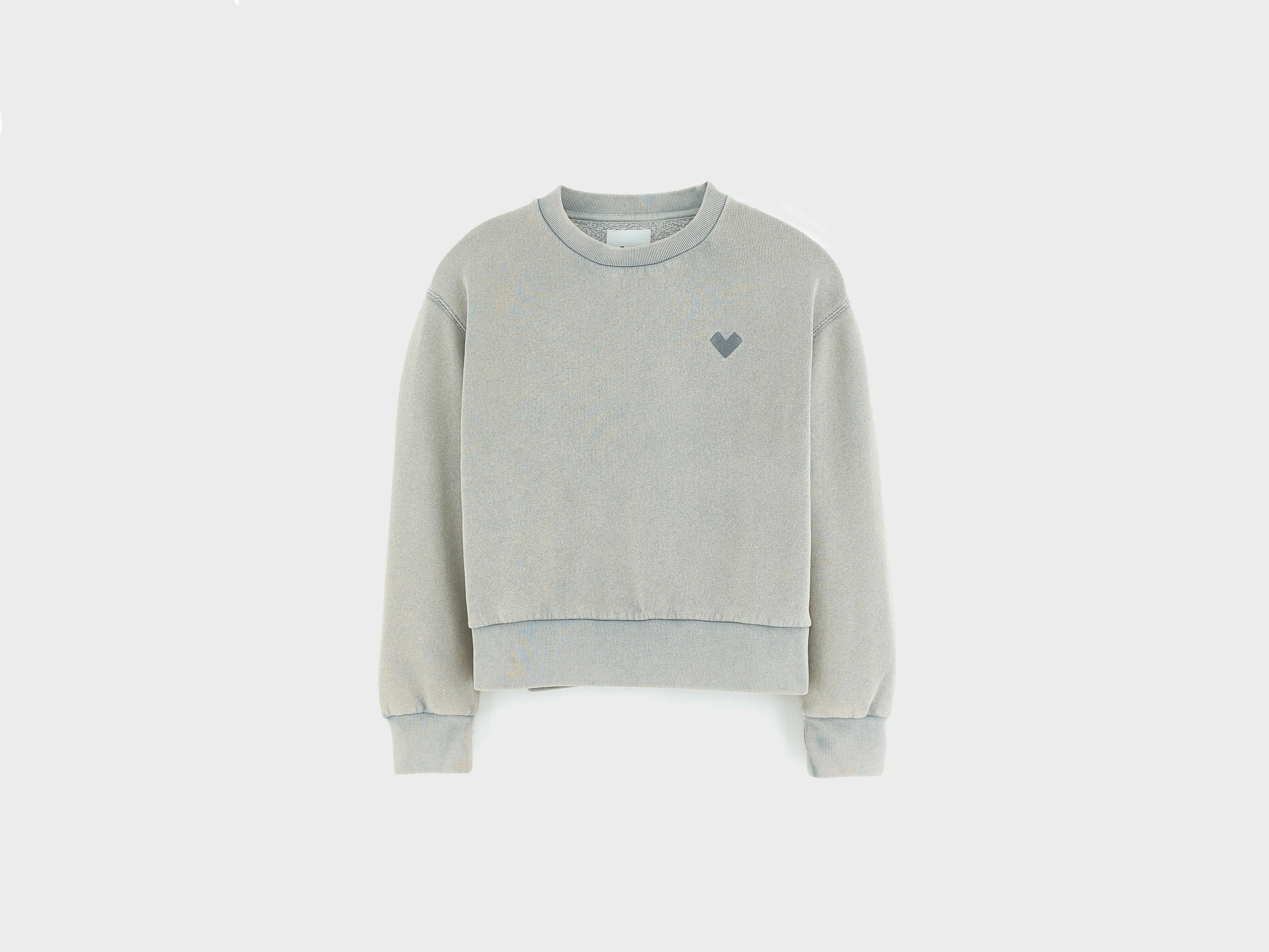Fanzi sweatshirt met ronde hals (262 / G / THUNDER)