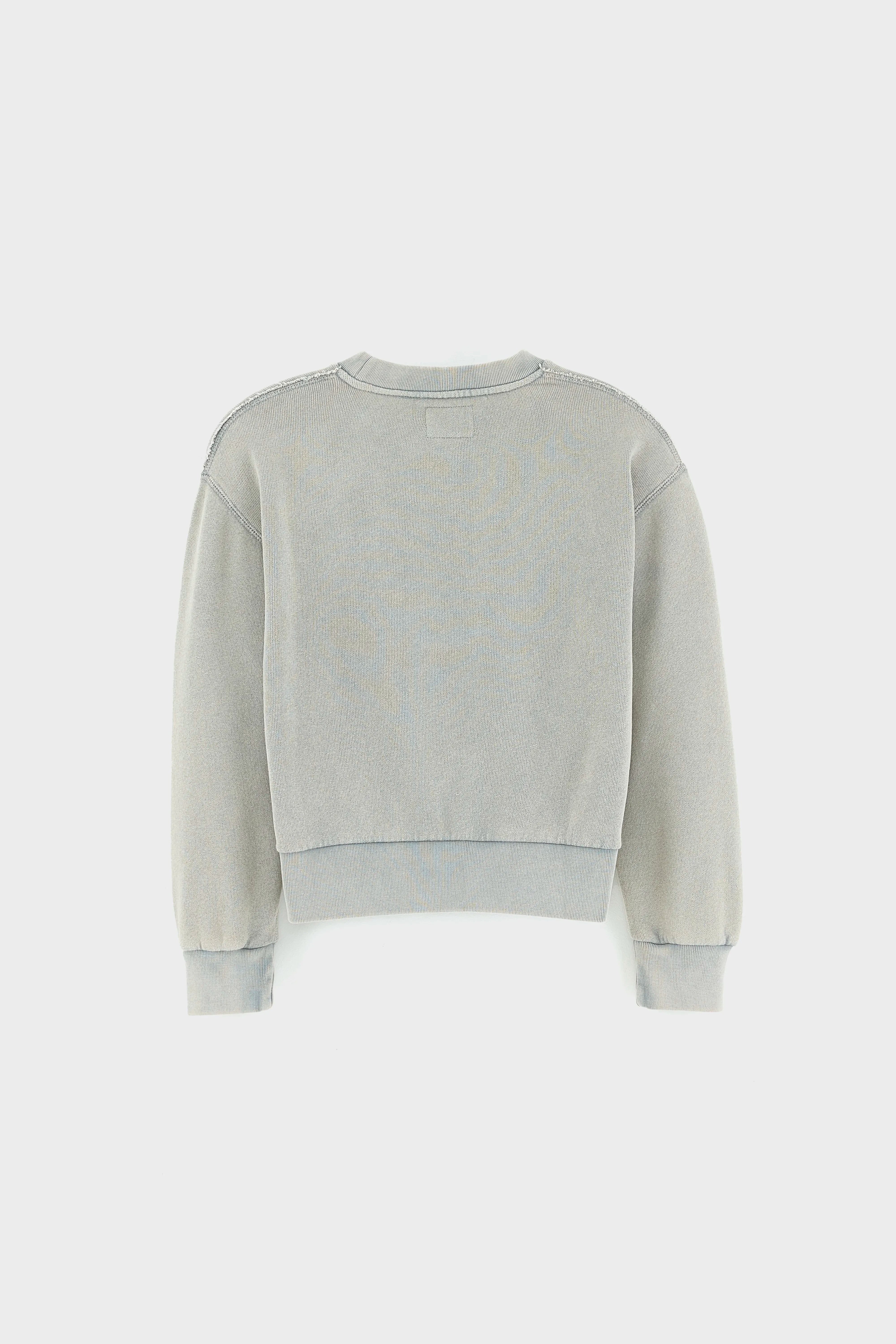 Fanzi sweatshirt met ronde hals (262 / G / THUNDER)