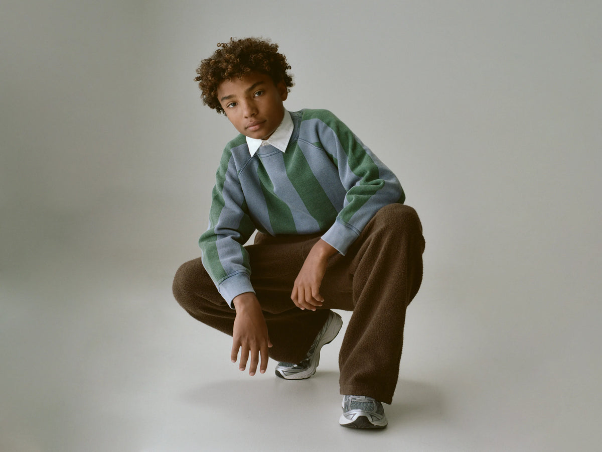 Fagolo crewneck sweatshirt (262 / B / STRIPE A)