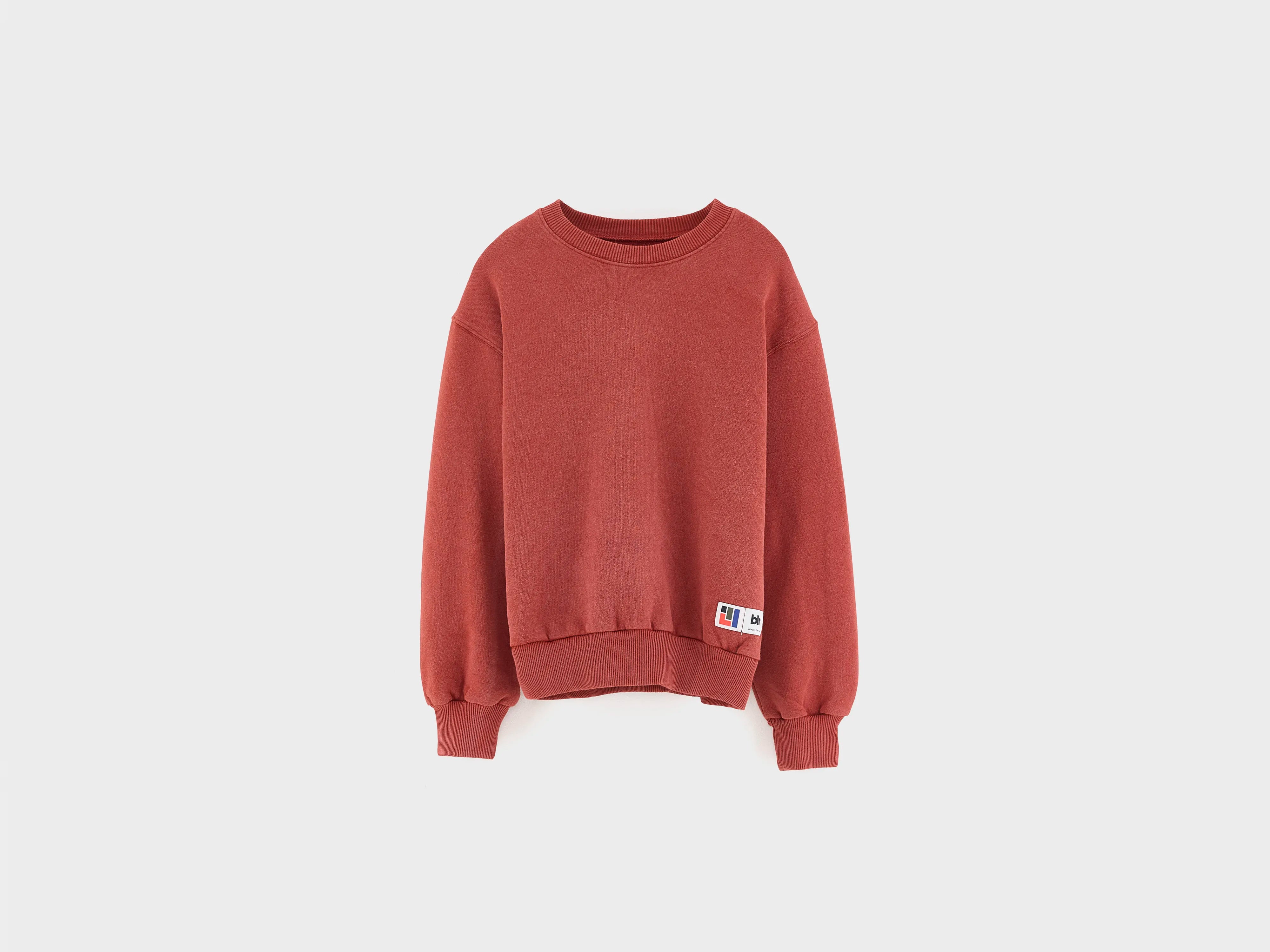 Chami crewneck sweatshirt (262 / B / RUST)
