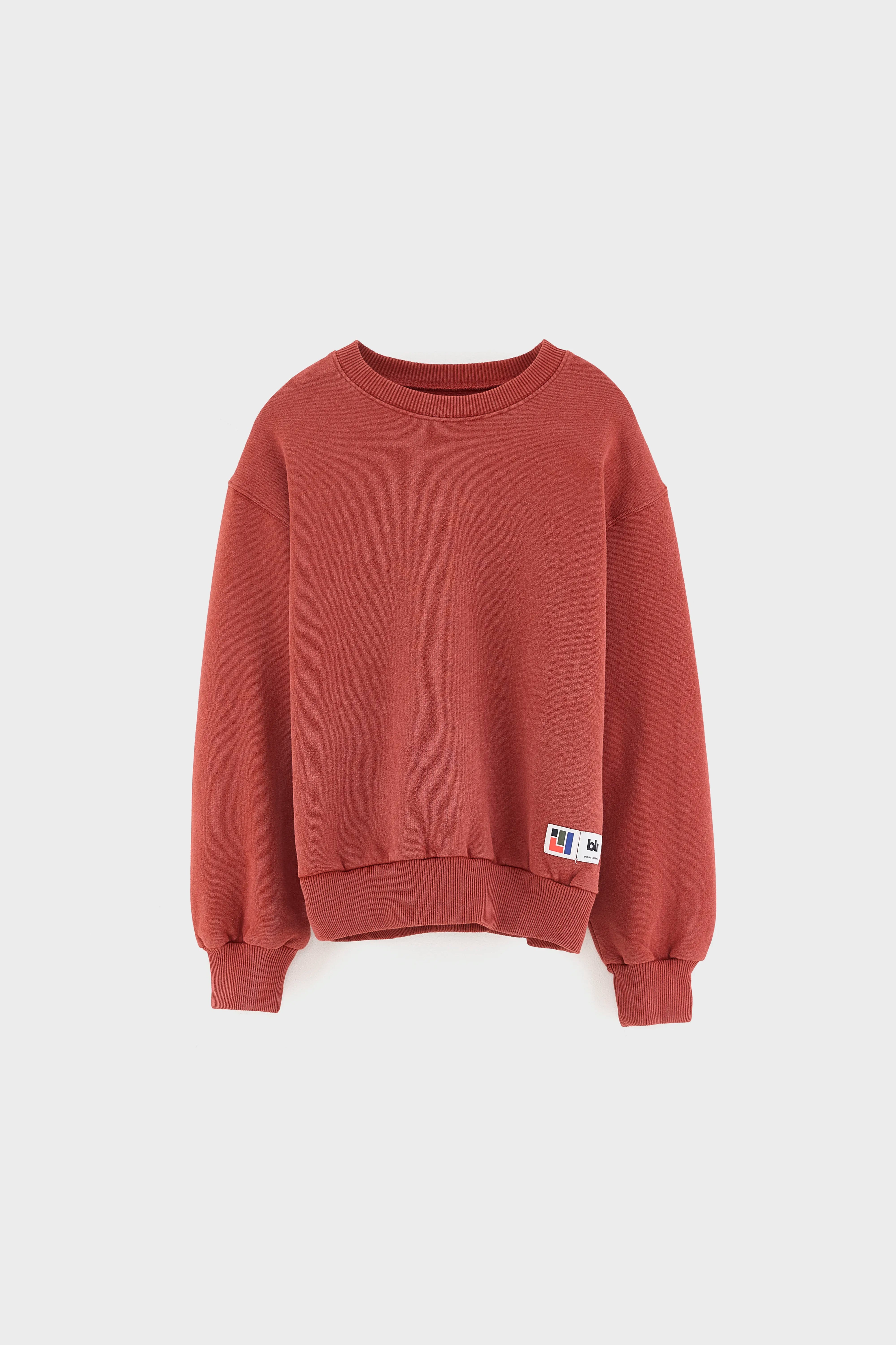 Chami crewneck sweatshirt (262 / B / RUST)