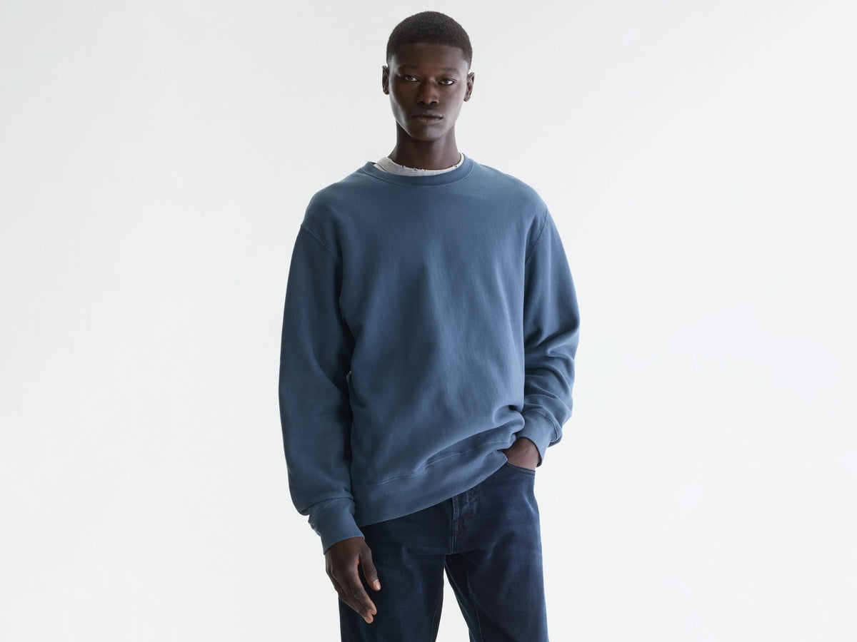 Flake crewneck sweatshirt (242 / M / DOVE)