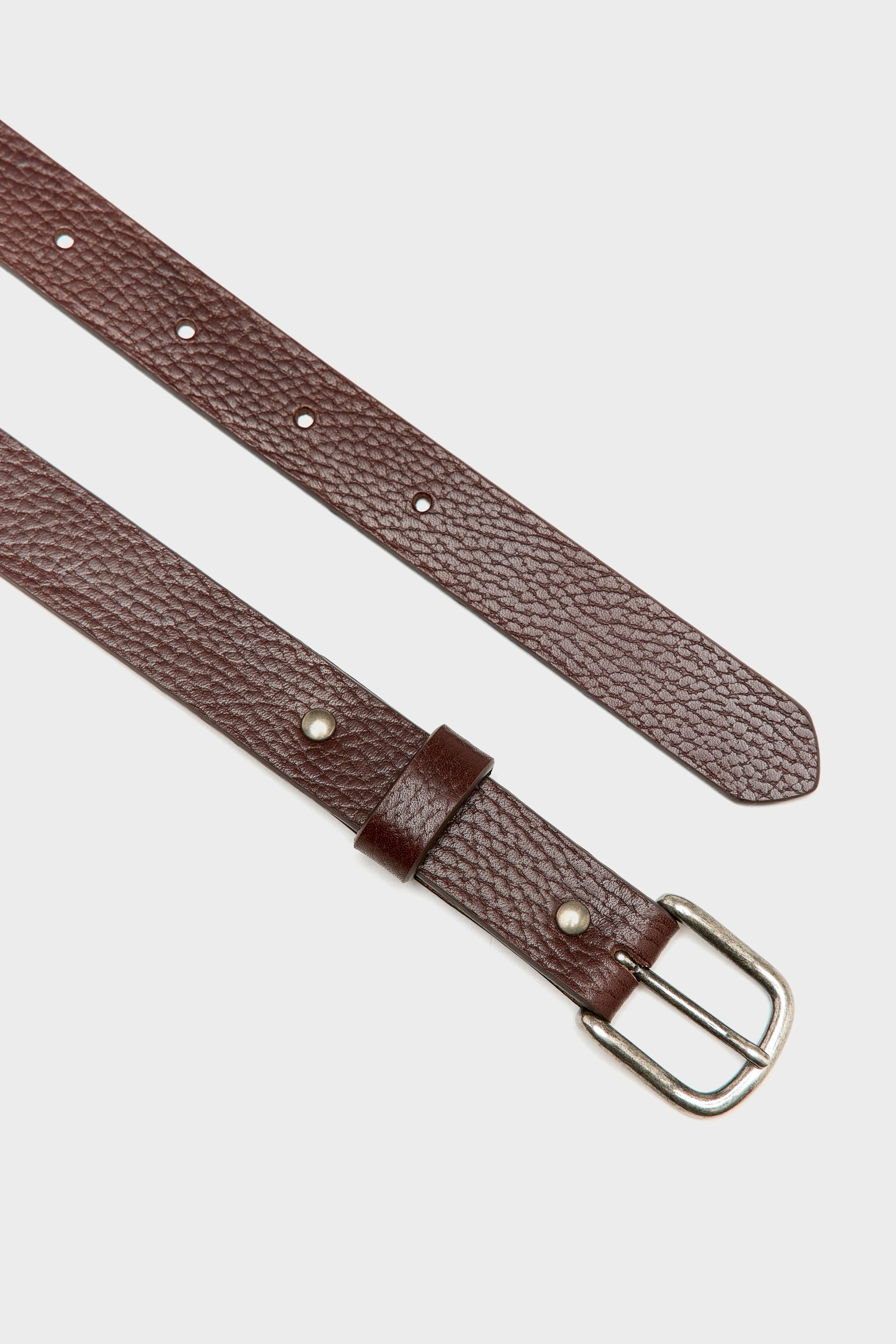 Ceinture en cuir Selta (251 / M / CHOCOLATE)