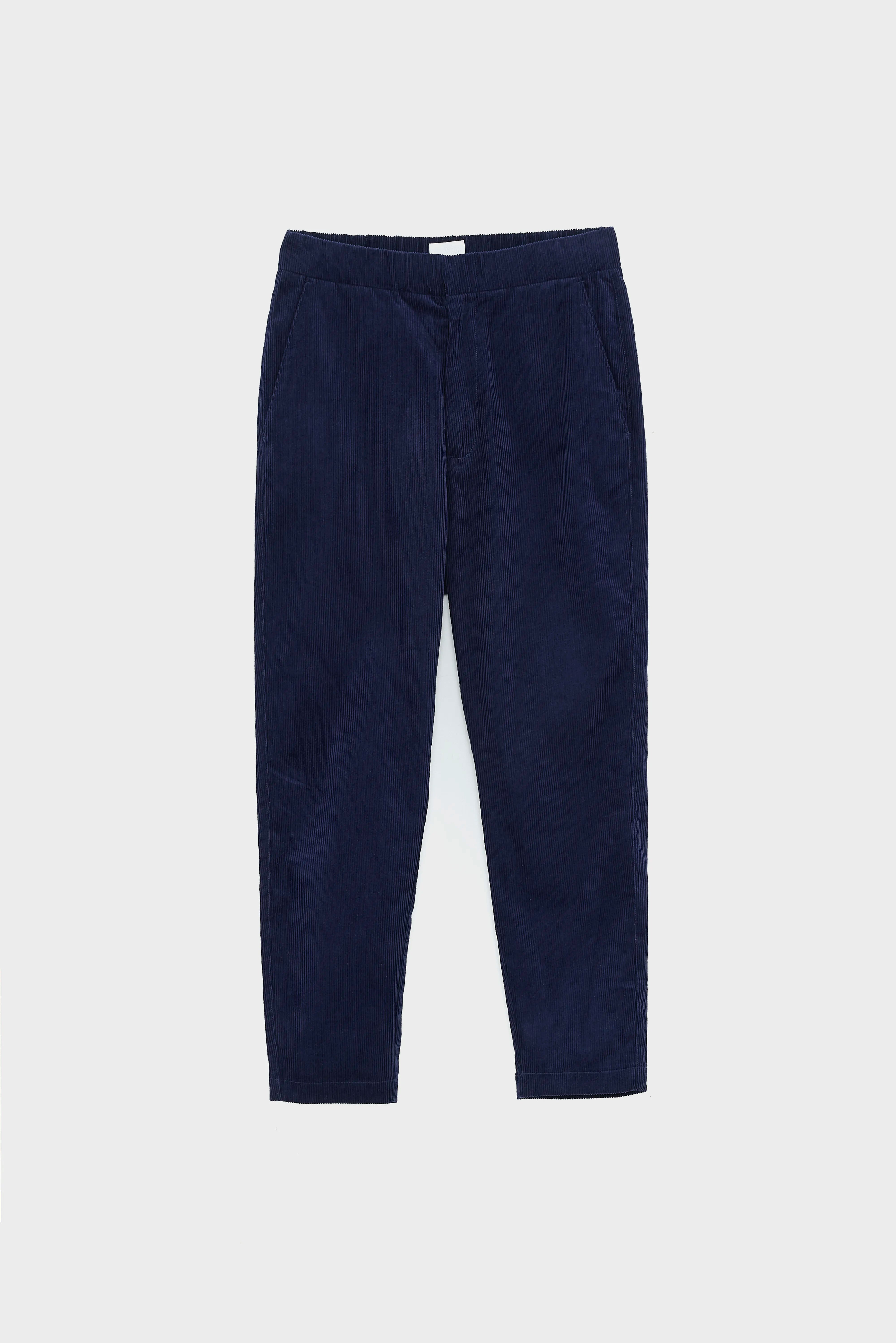 Paynt corduroy trousers (252 / M / BLUES)