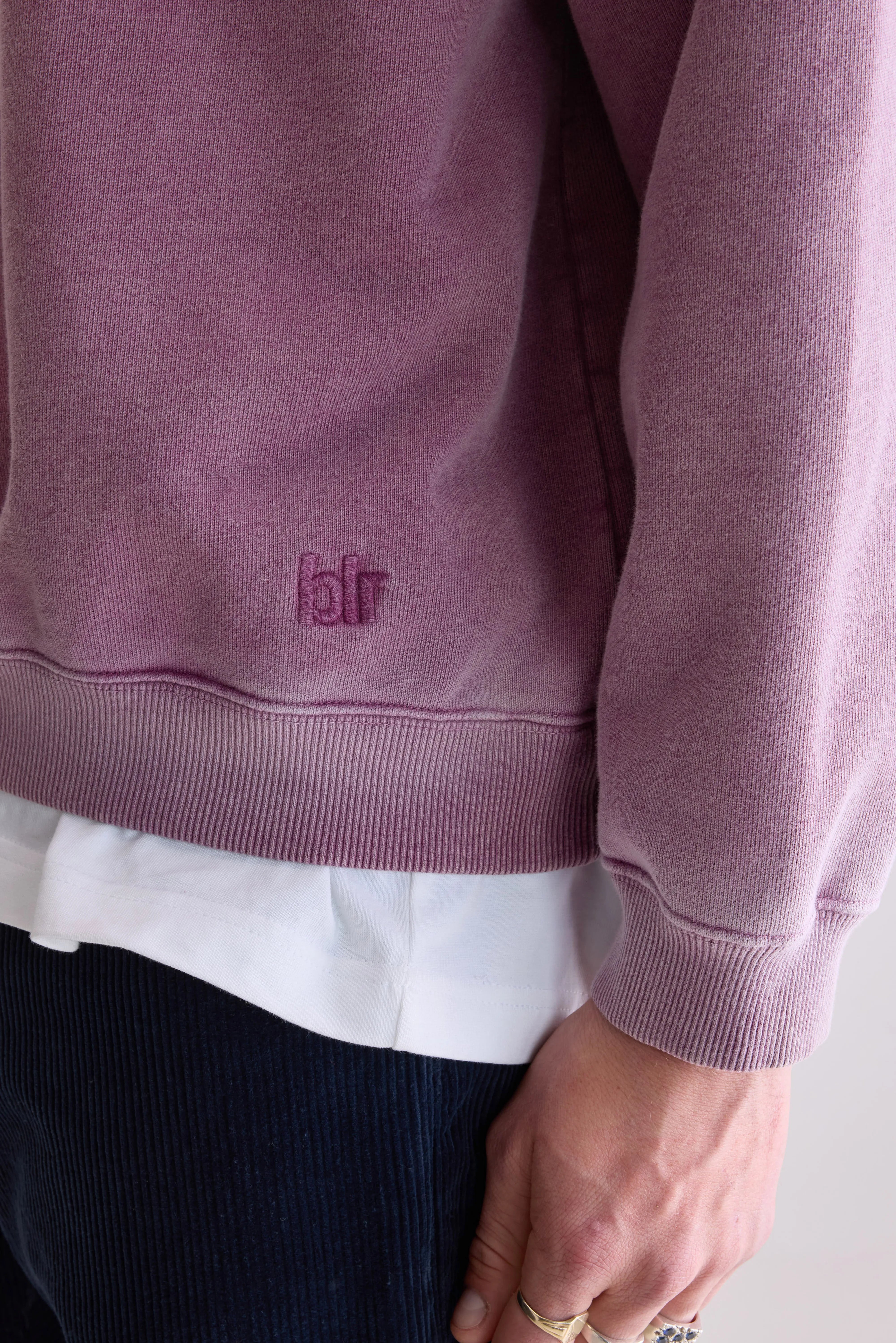 Fabien crewneck sweatshirt (252 / M / VELVET)