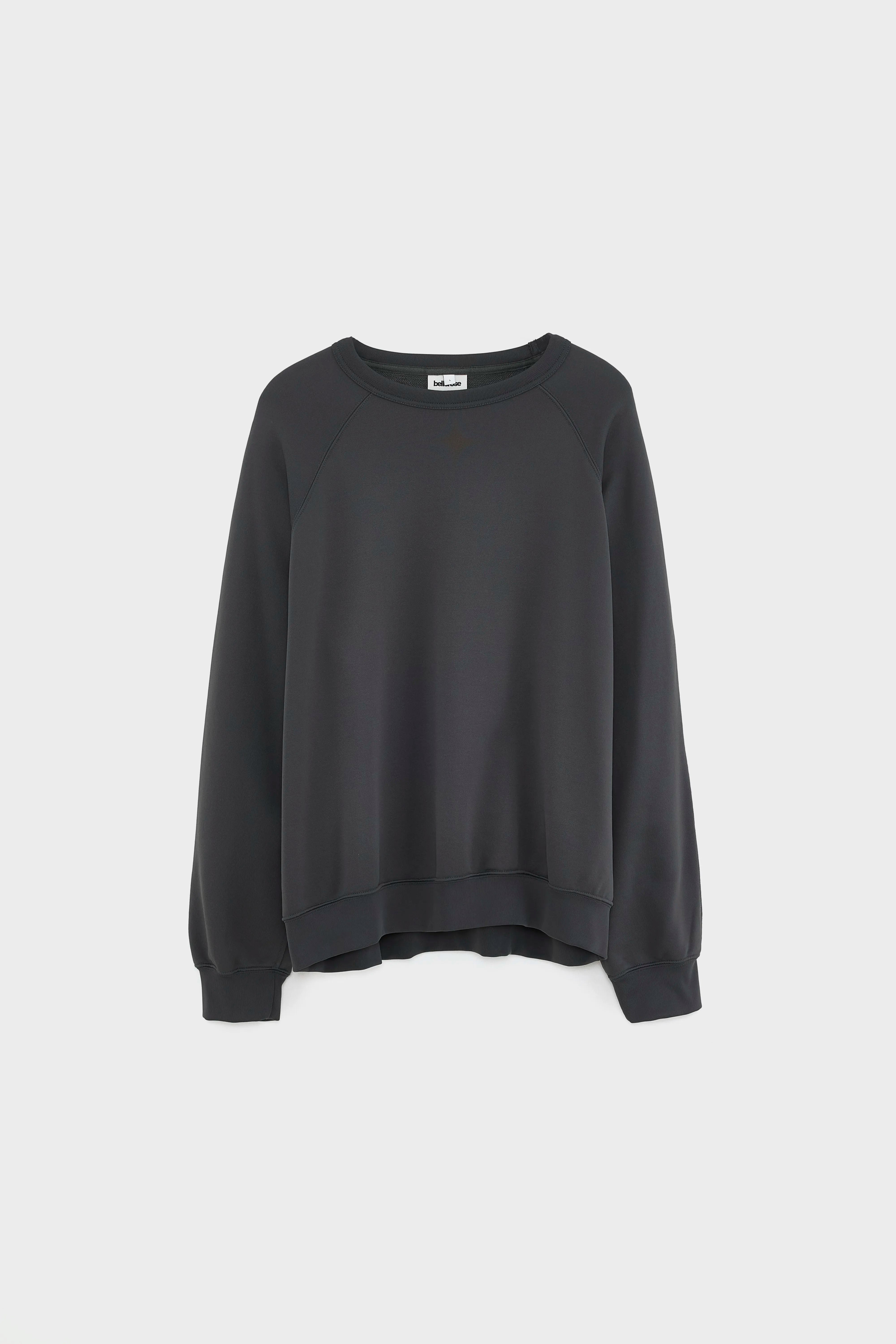 Fablan sweatshirt met ronde hals (261 / M / PIRATE)