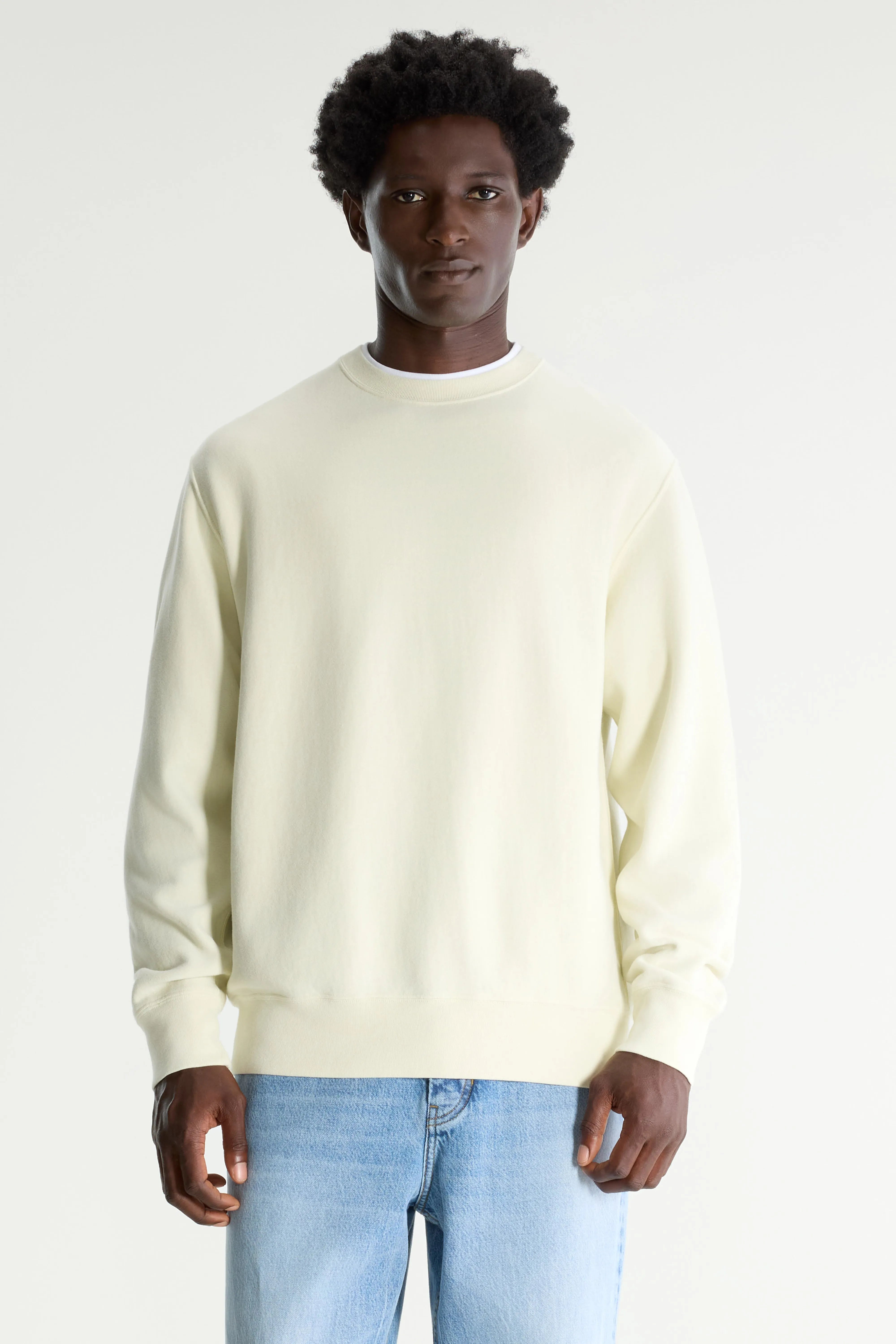 Flake crewneck sweatshirt (261 / M / BUTTER)