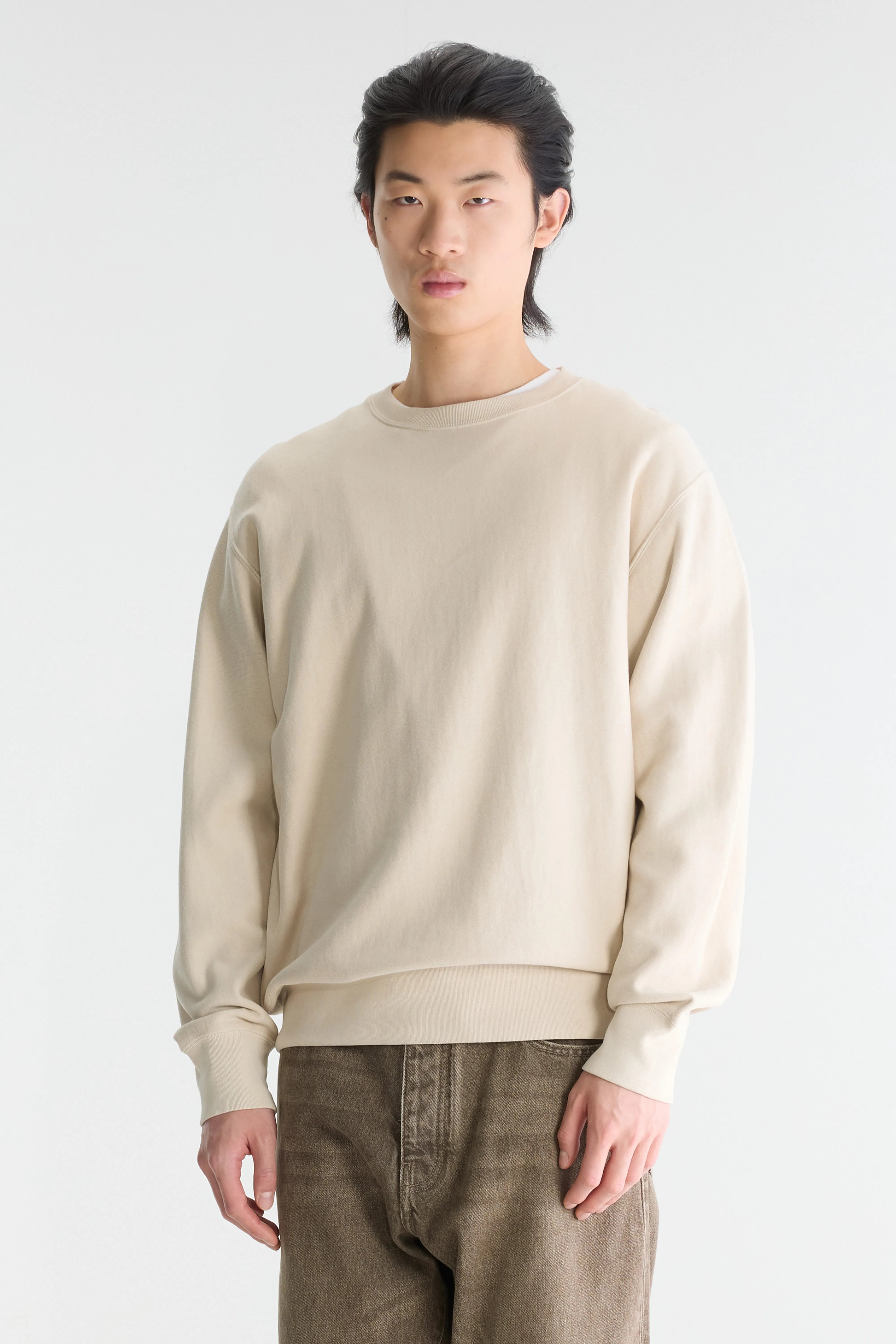 Flake crewneck sweatshirt (262 / M / CALCAIRE)