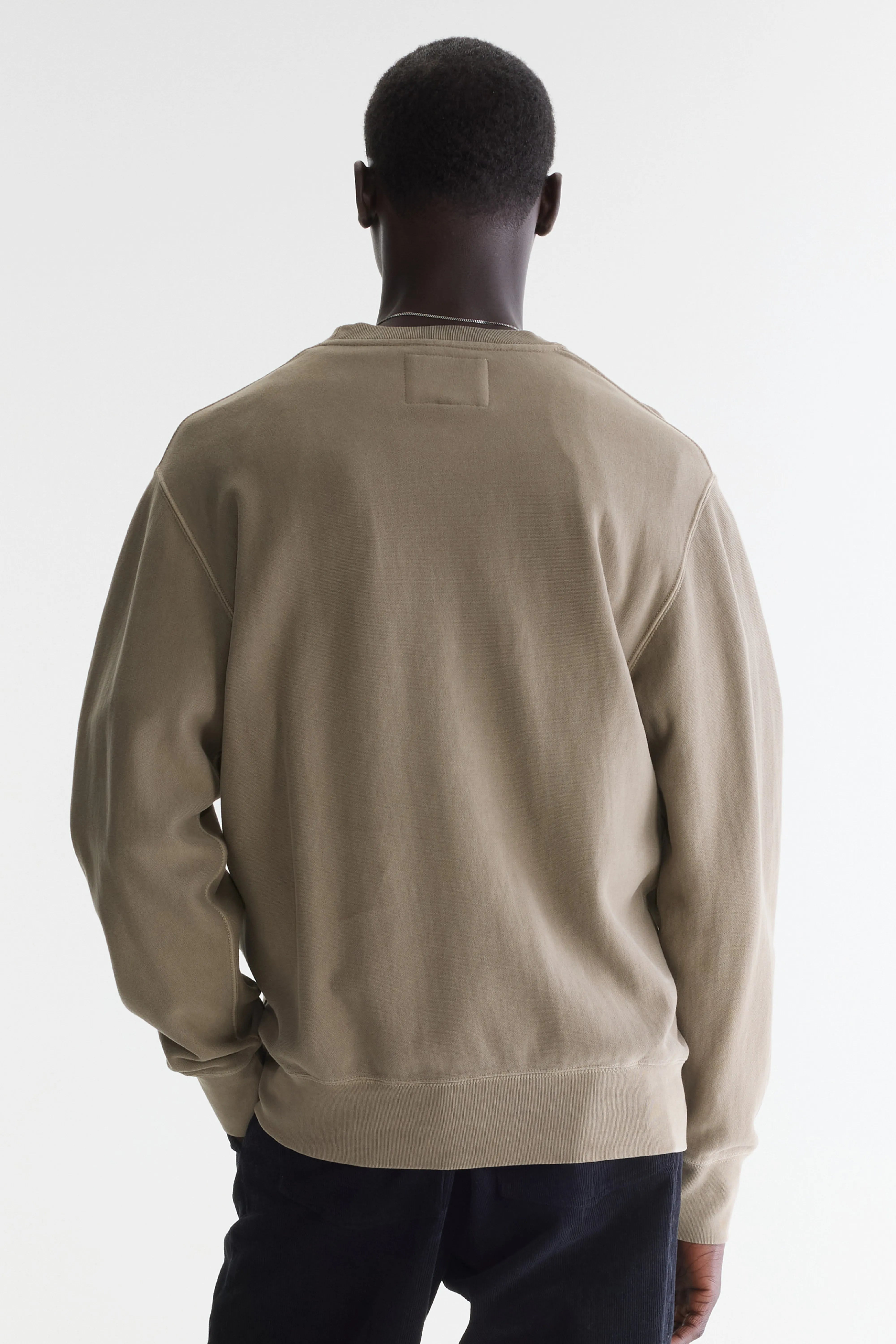 Flake crewneck sweatshirt (262 / M / DUST)