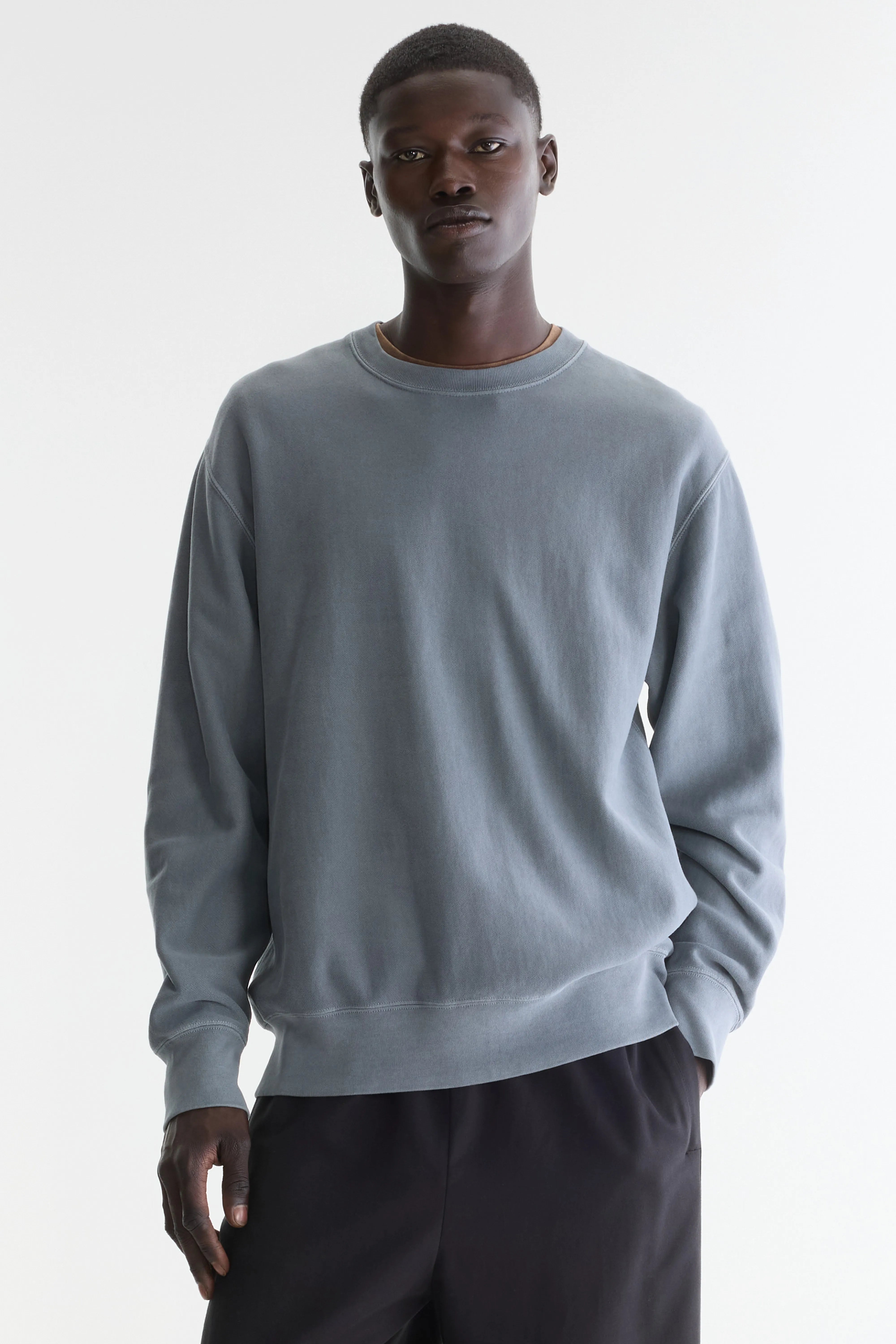 Flake crewneck sweatshirt (262 / M / BITUME)