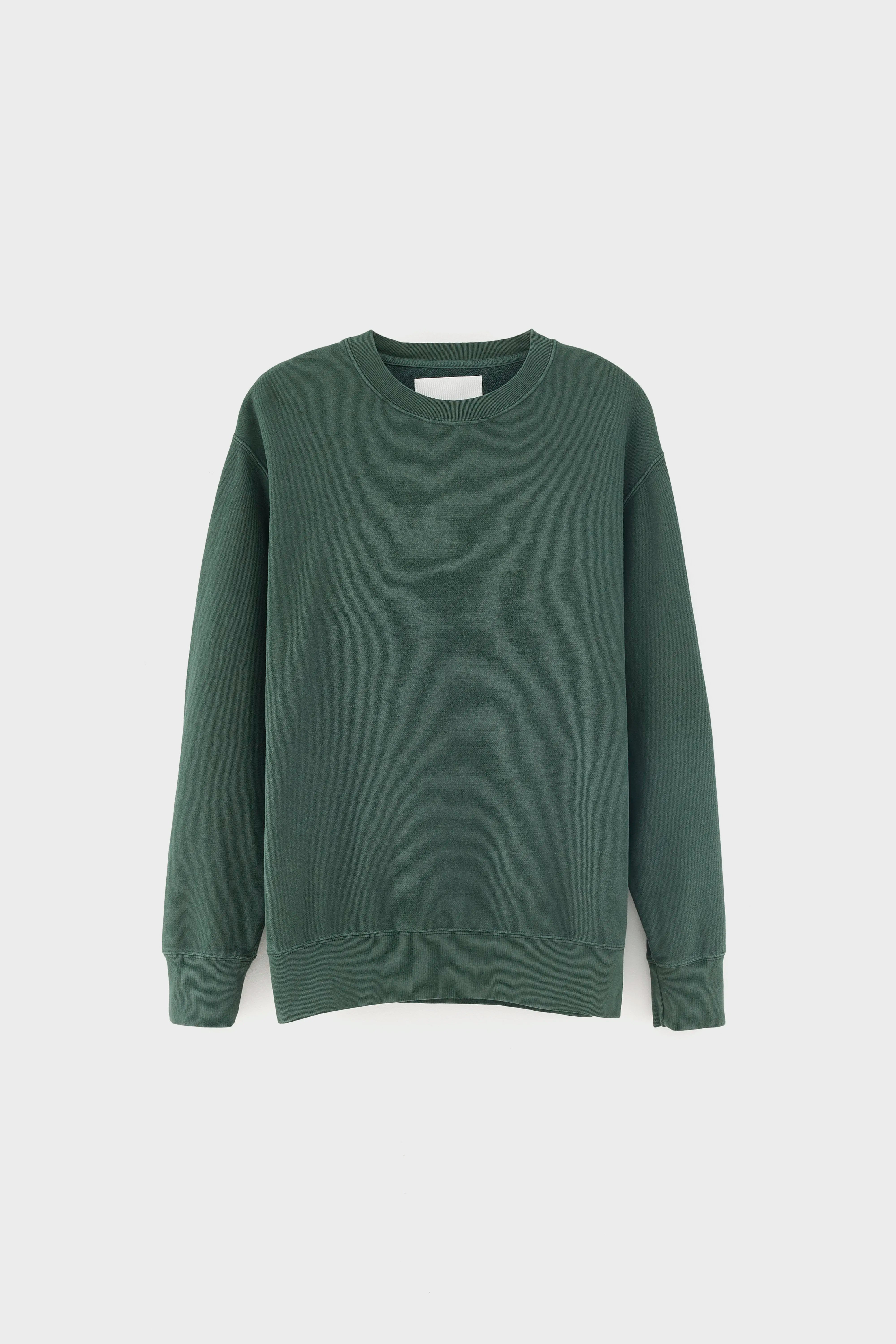 Flake crewneck sweatshirt (262 / M / MOUNTAIN)