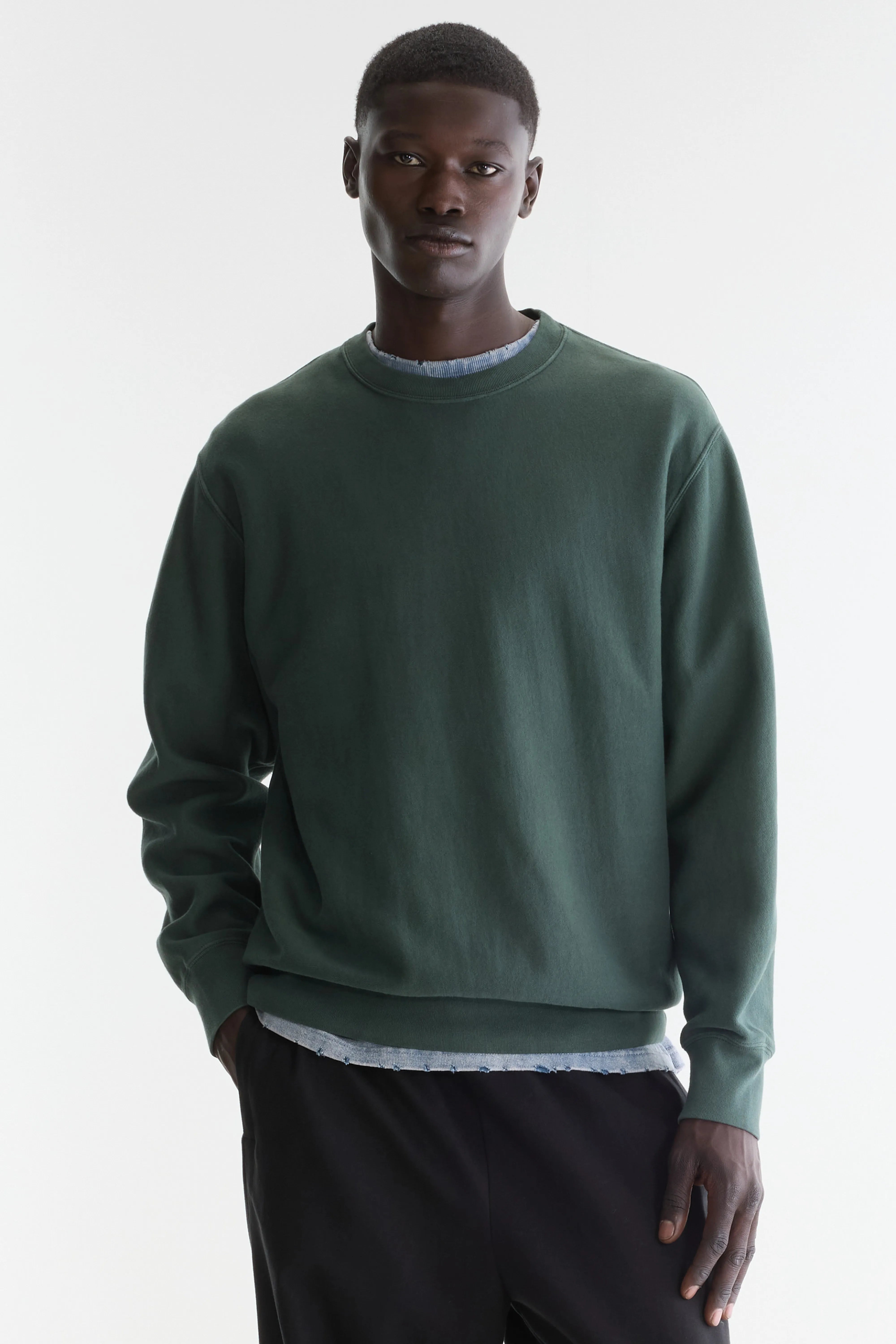 Flake crewneck sweatshirt (262 / M / MOUNTAIN)