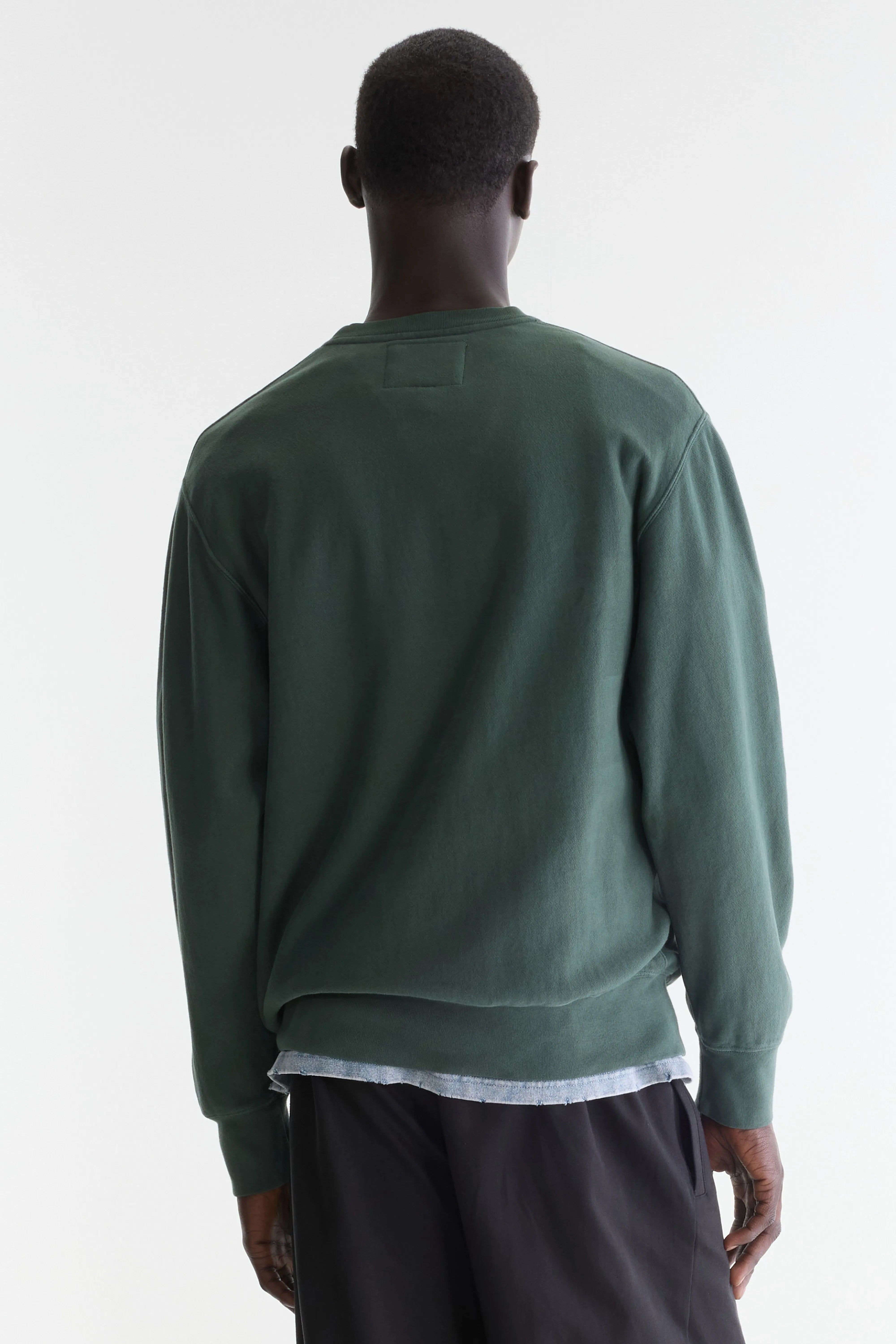 Flake crewneck sweatshirt (262 / M / MOUNTAIN)