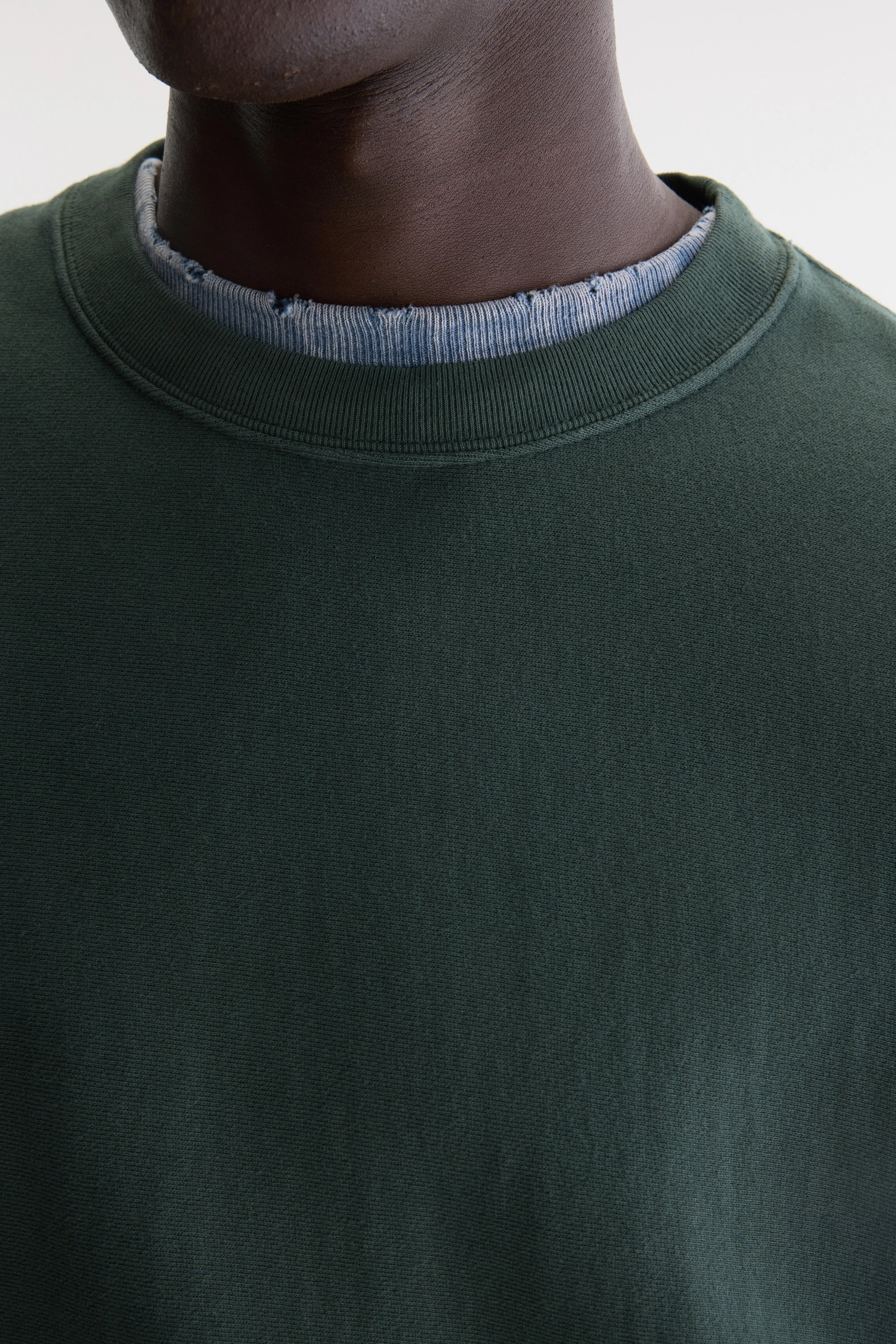 Flake crewneck sweatshirt (262 / M / MOUNTAIN)