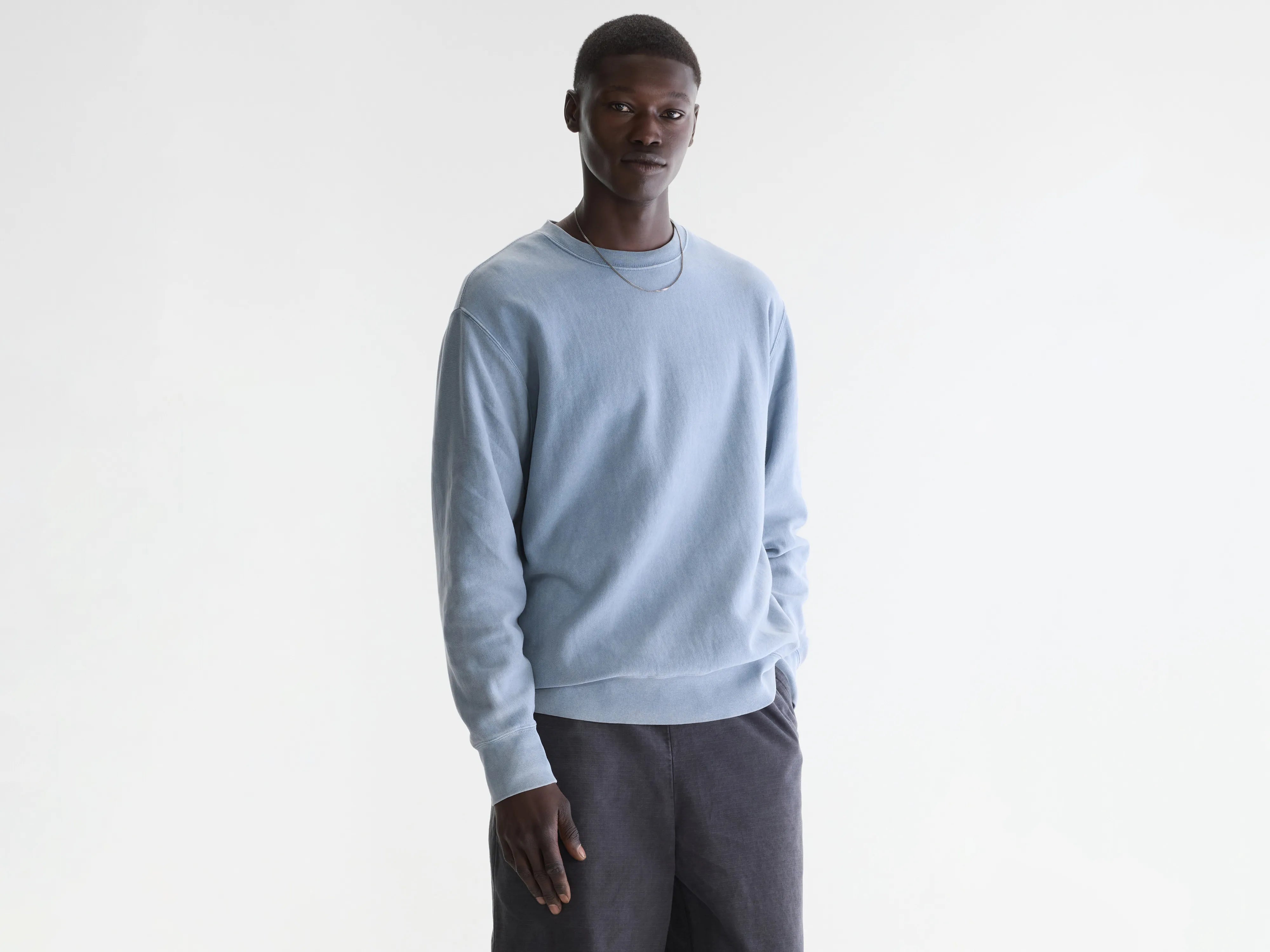 Flake crewneck sweatshirt (262 / M / ARTIC)