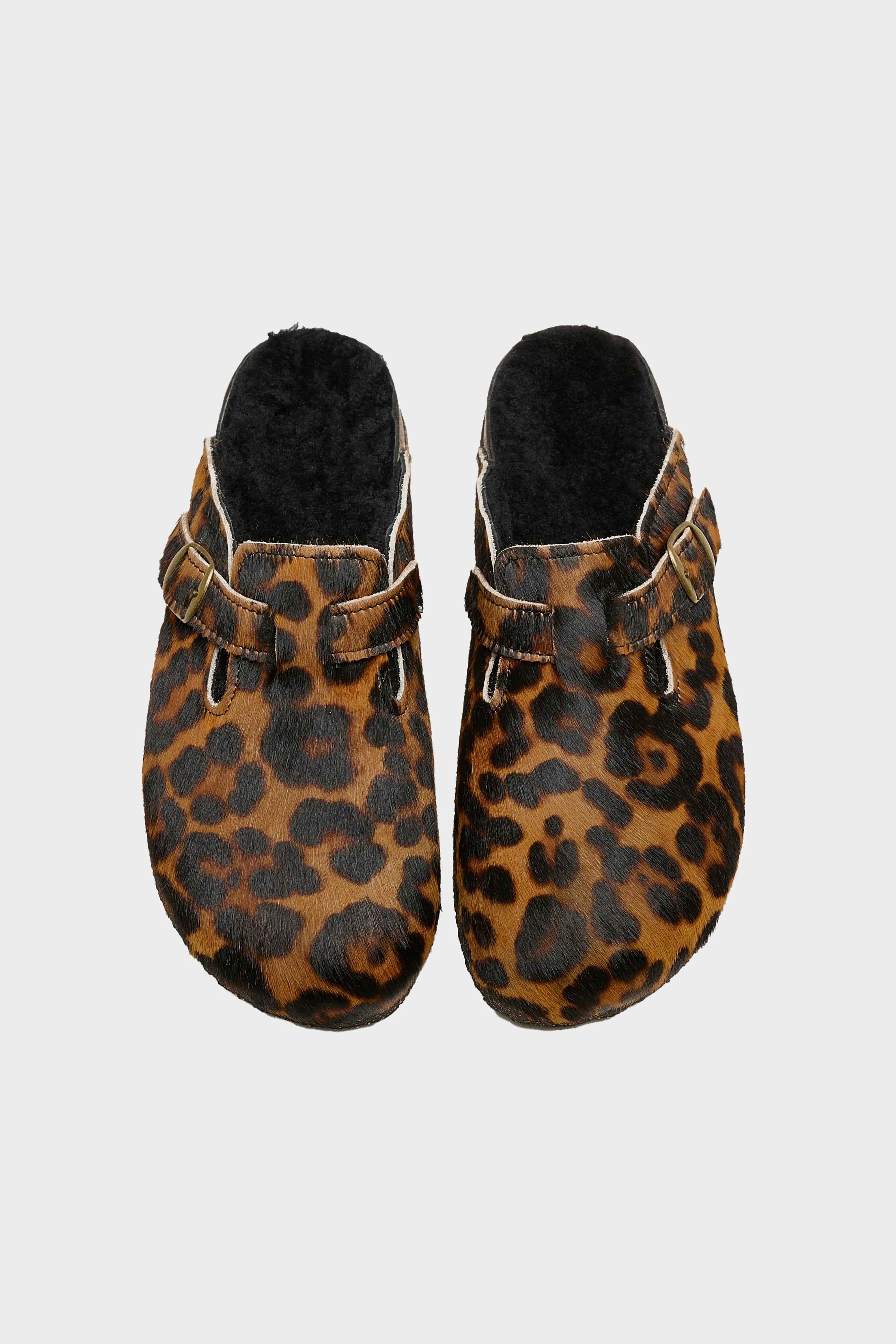 Black Leopard Clogs (242 / W / BROWN)