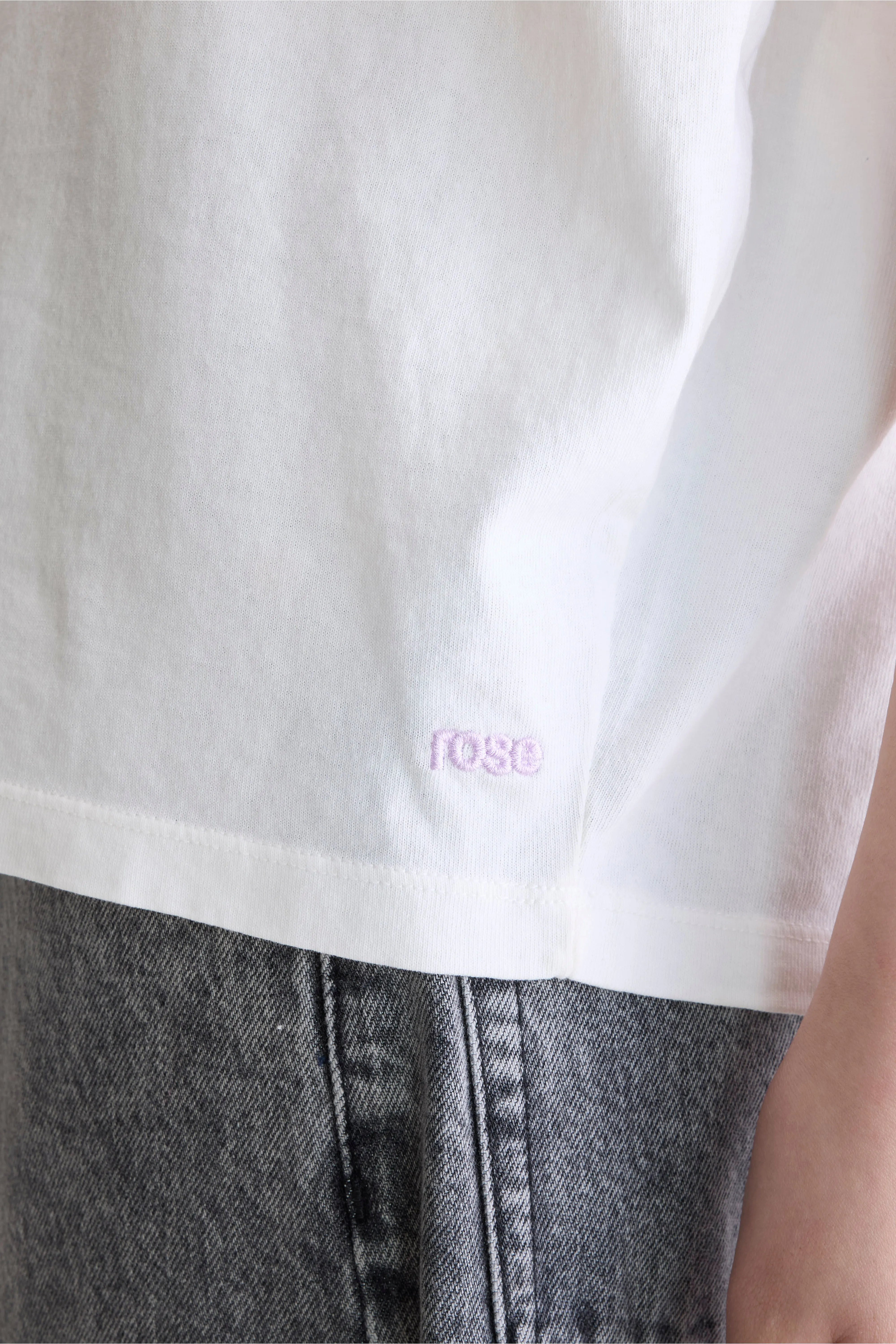 Vice crew neck t-shirt (252 / W / CASPER)