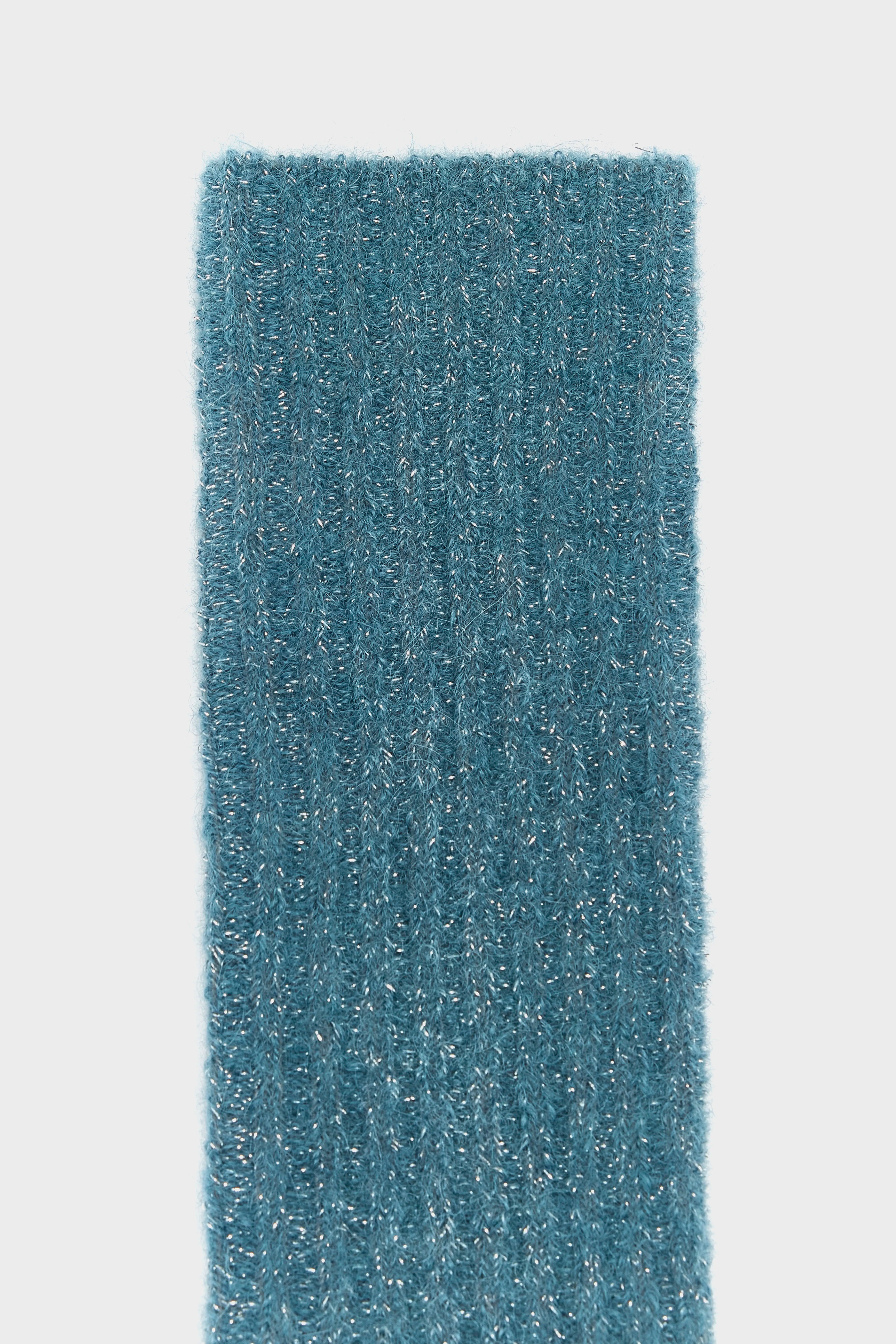 Sito shiny socks (252 / W / ARTIC)