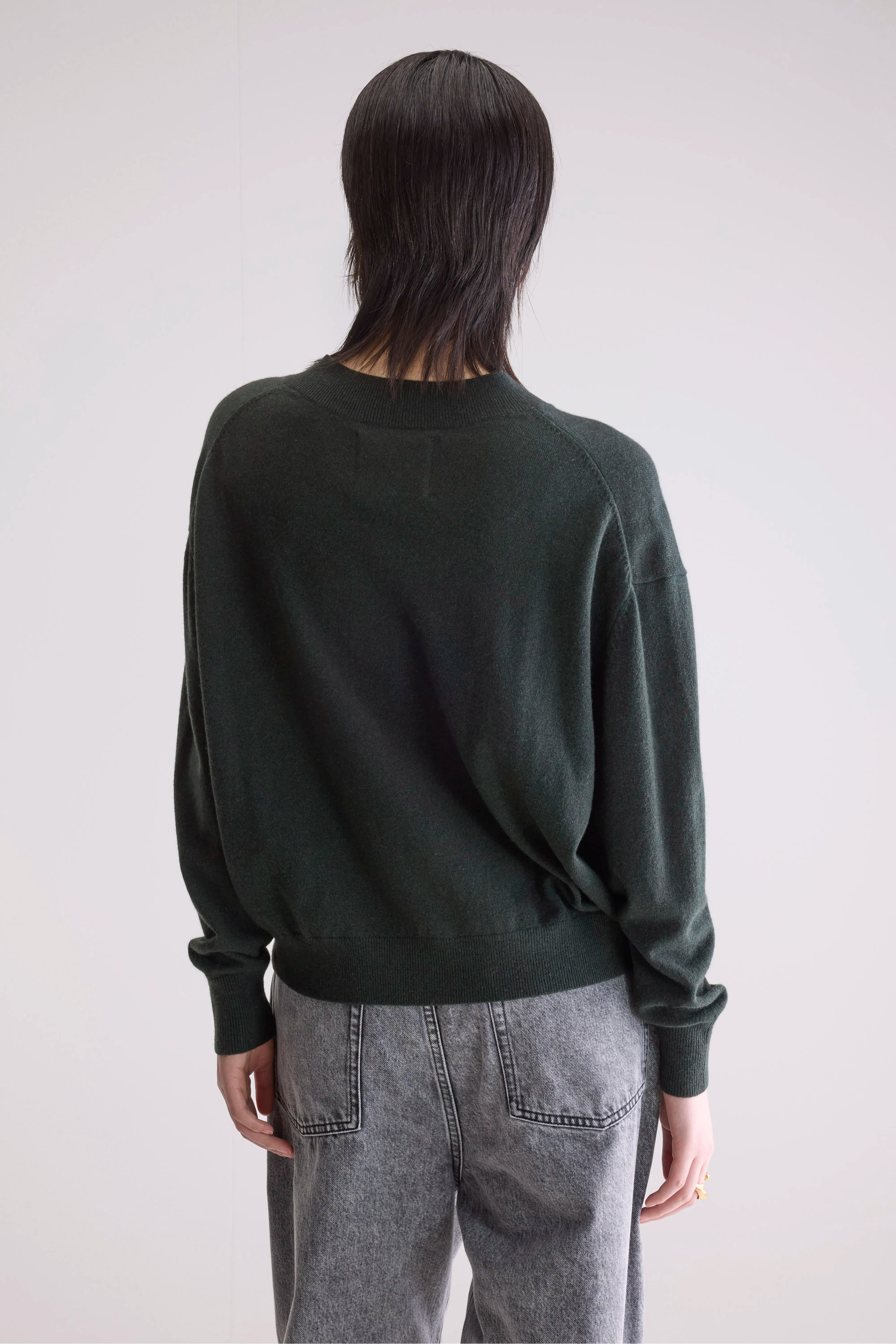 Pull en cachemire Slax (252 / W / SCARABEE)