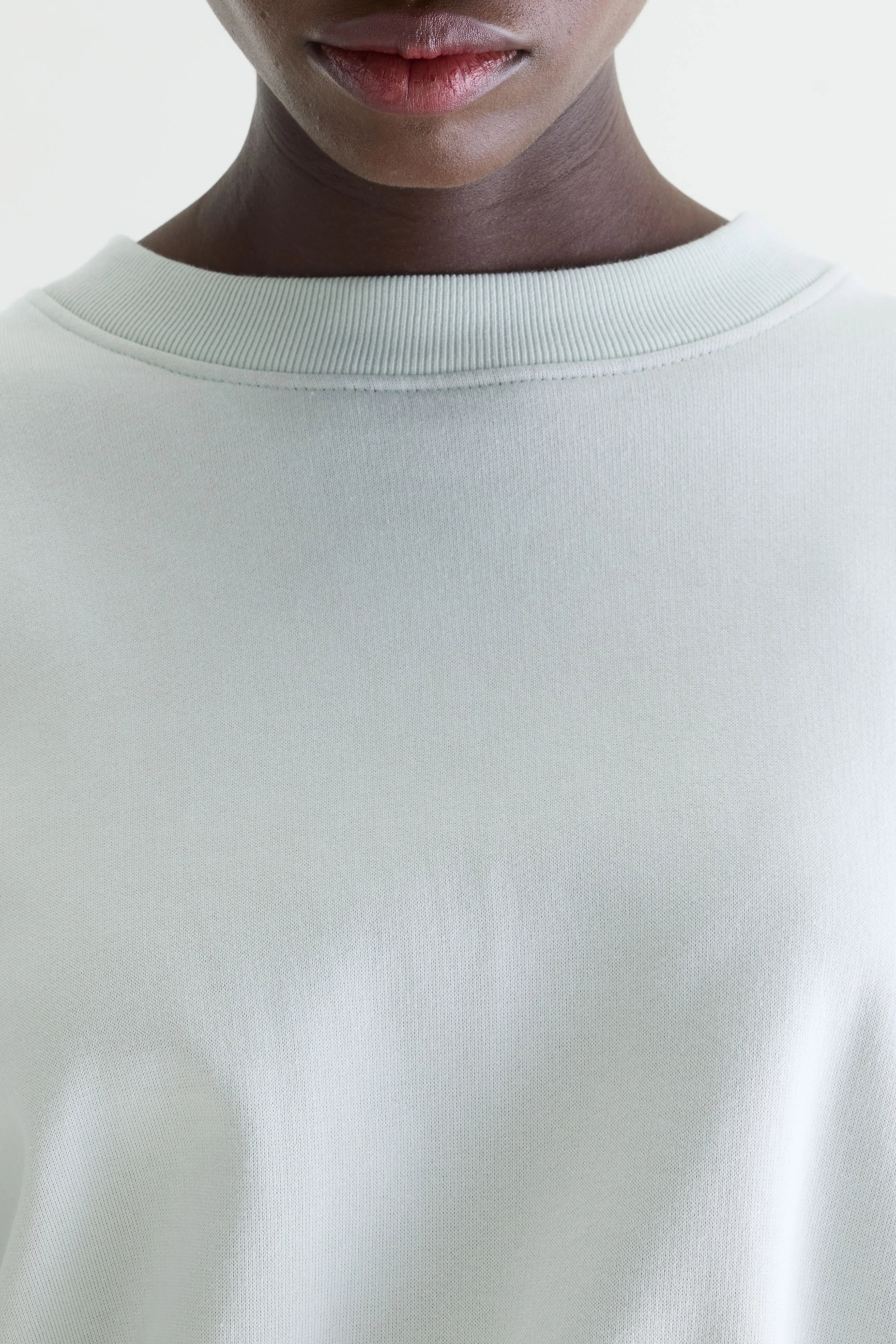 Fancy cropped crewneck sweatshirt (261 / W / AGUA VERDE)