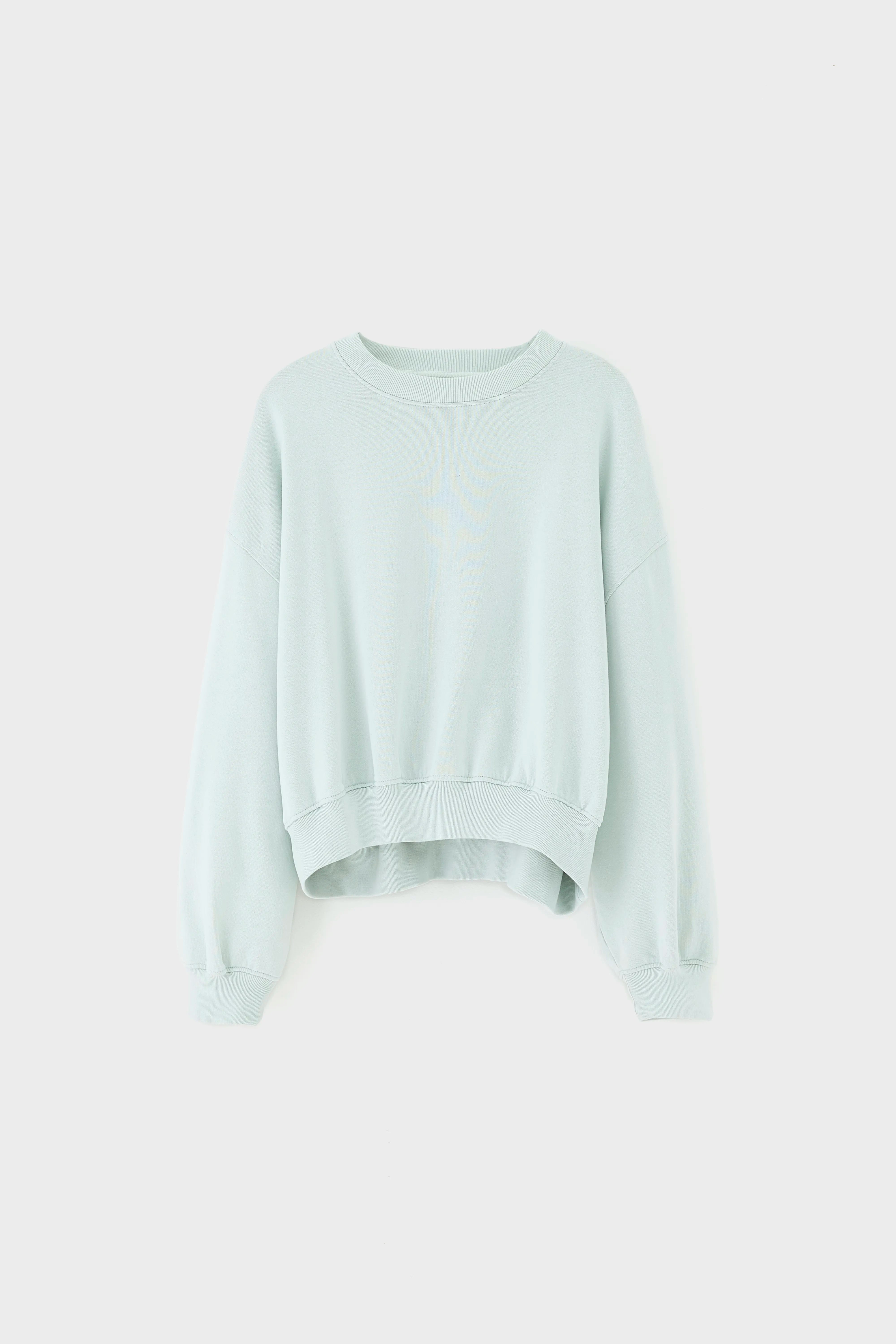 Fancy cropped crewneck sweatshirt (261 / W / AGUA VERDE)