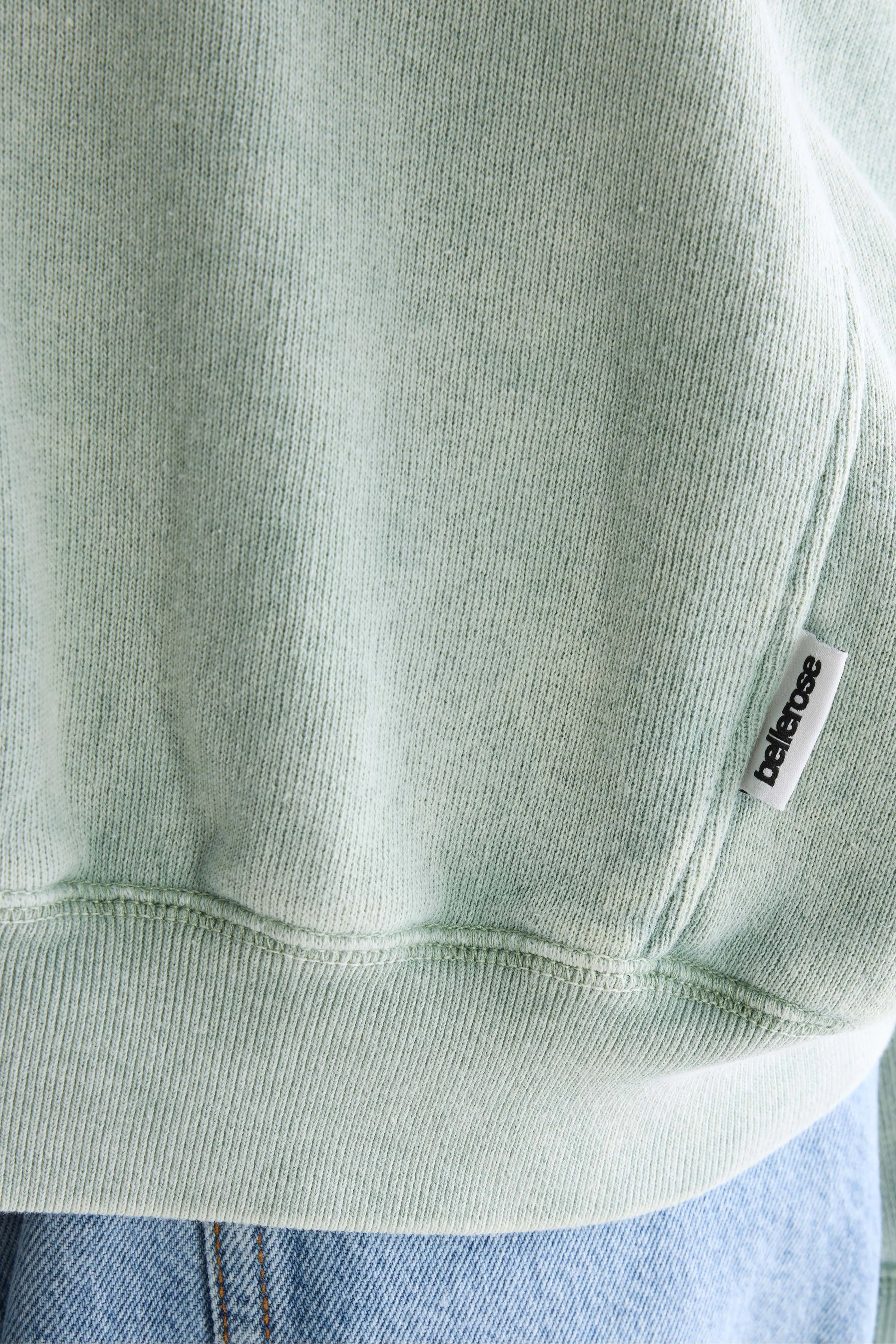 Flips sweatshirt met ronde hals (261 / W / JADEITE)