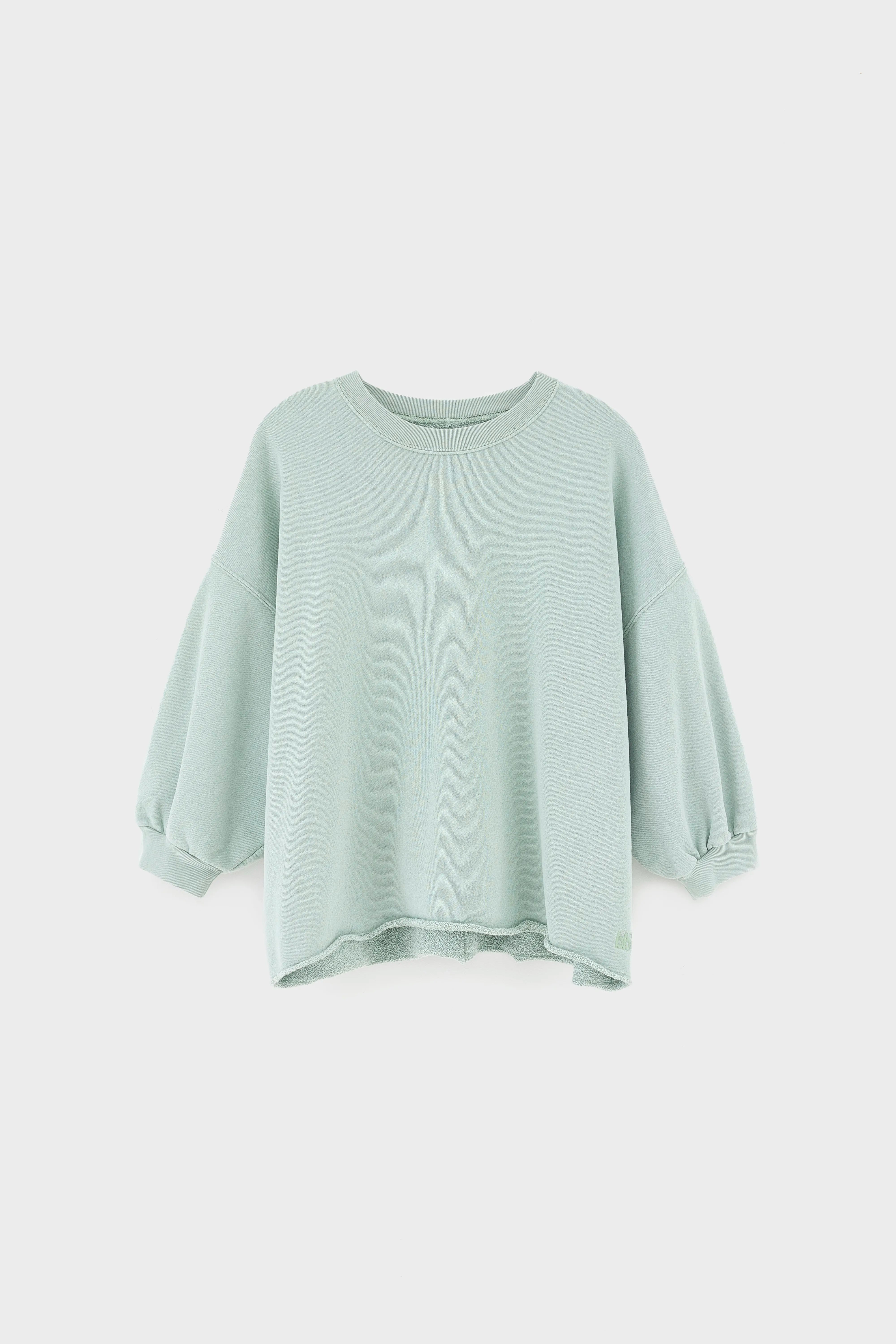 Vicske relaxed sweatshirt (261 / W / JADEITE)
