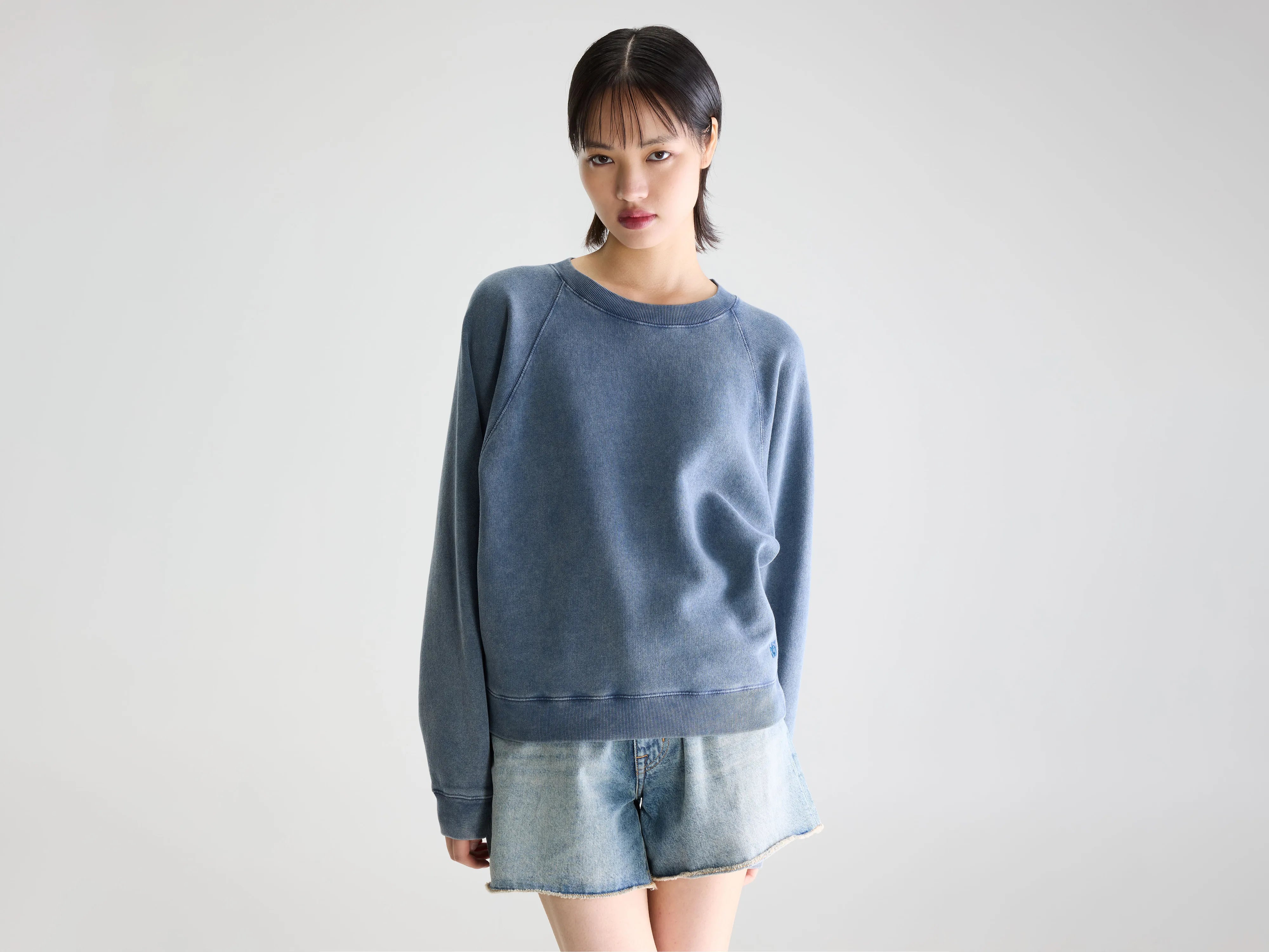 Sweatshirt décontracté Fella (261 / W / BLUES)