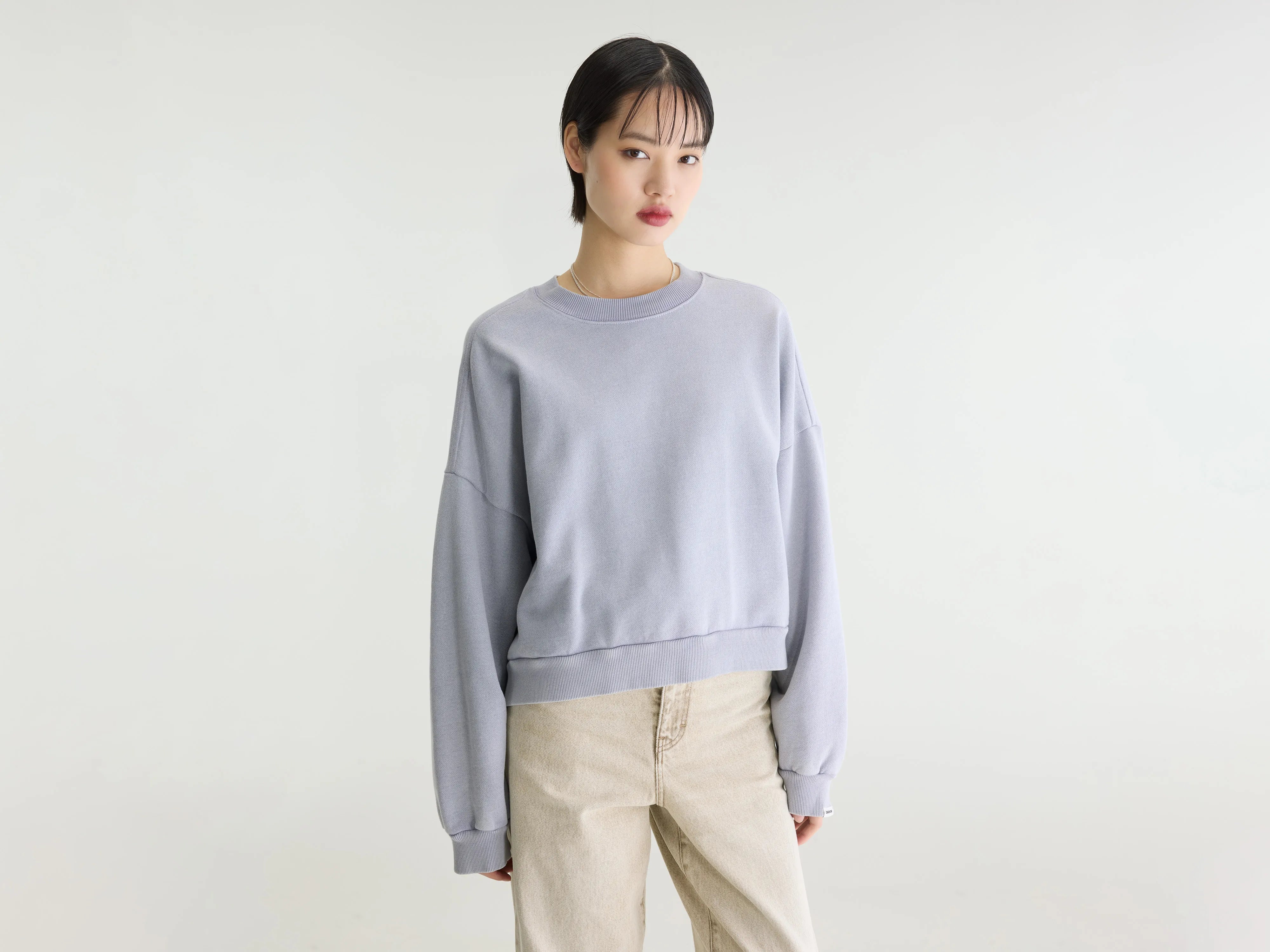 Ferno boxy sweatshirt met ronde hals (262 / W / ASHES)