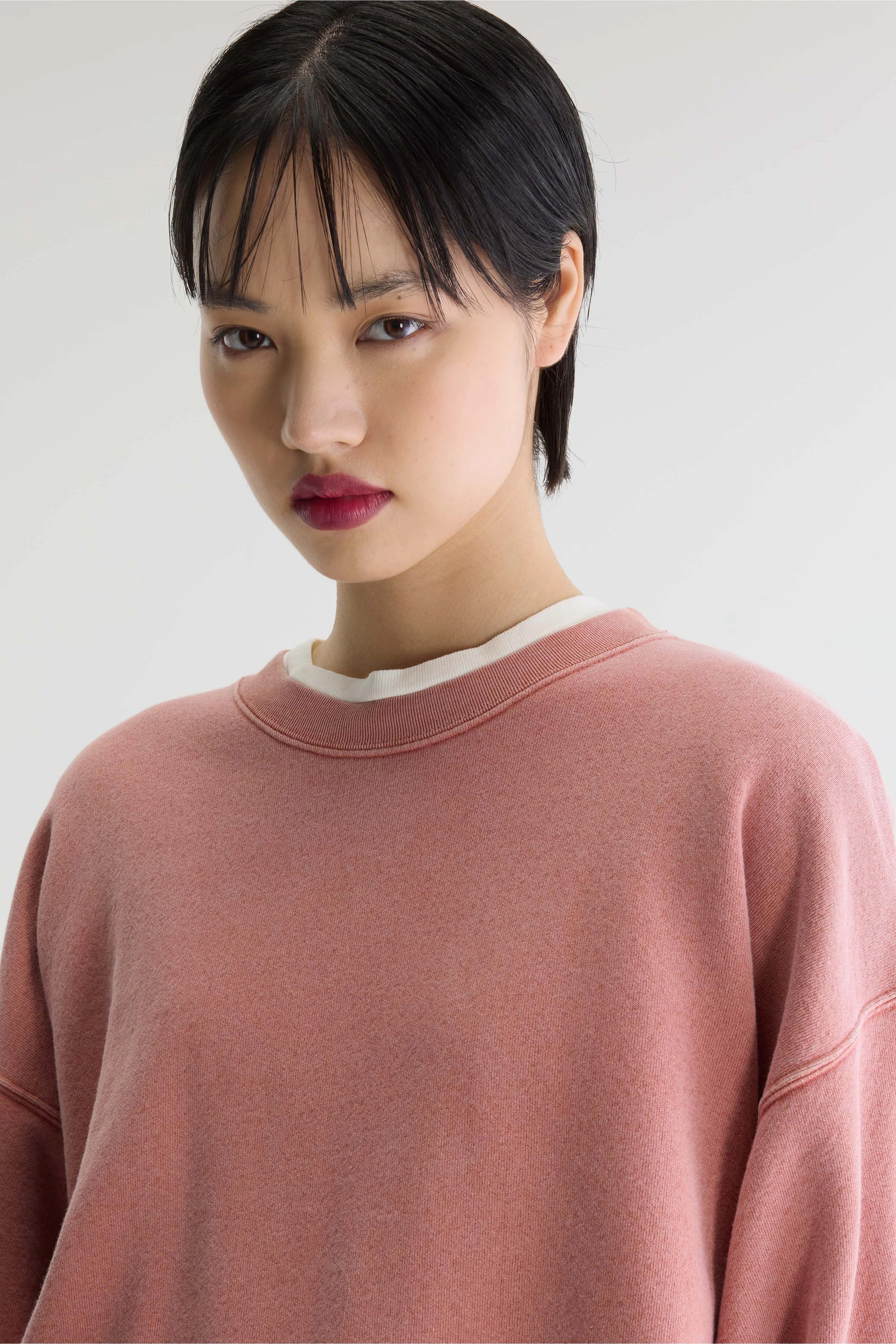 Vicske crewneck sweatshirt (262 / W / ETRUSCAN RED)