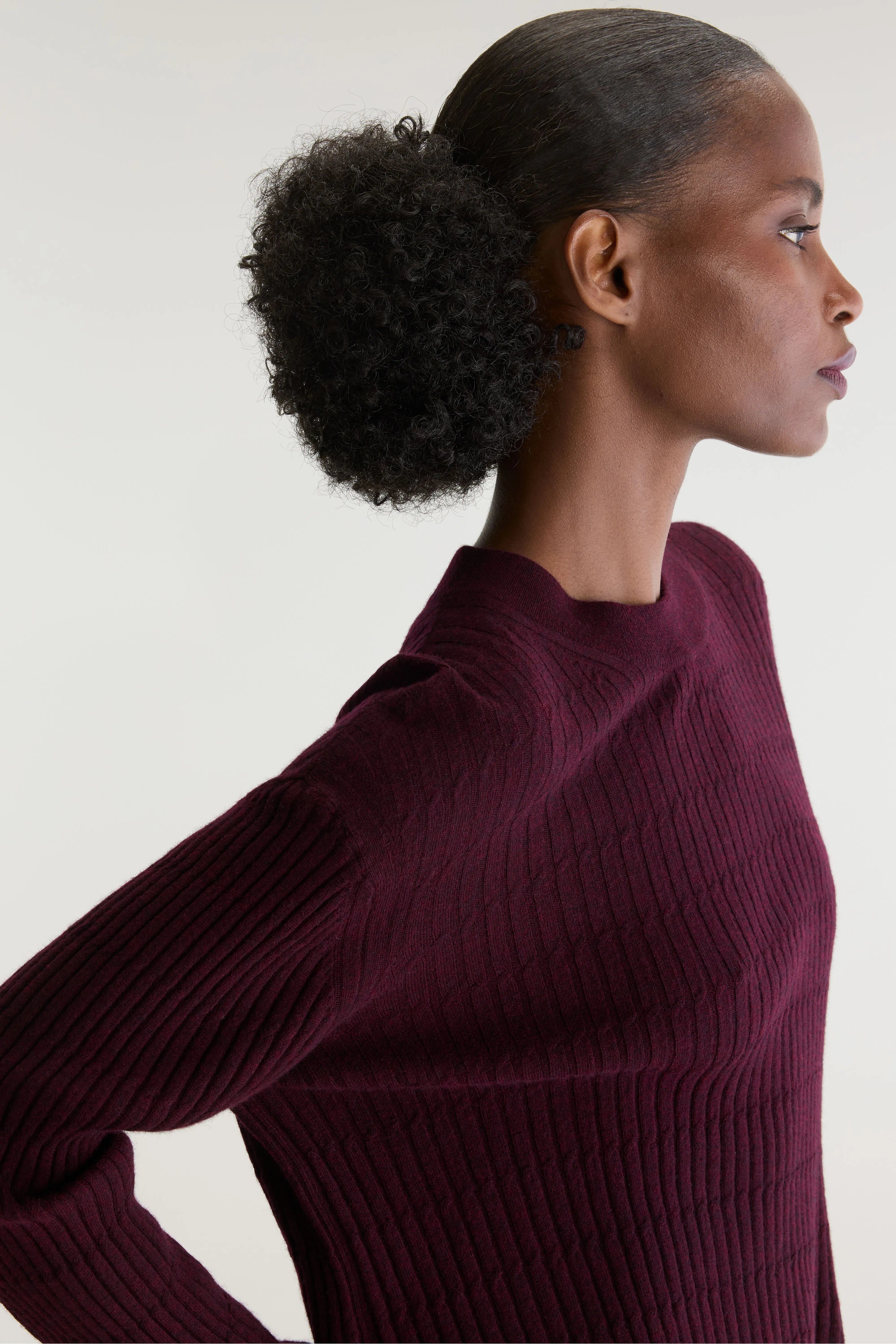 Pull classique Aryrib (262 / W / CORDOVAN)
