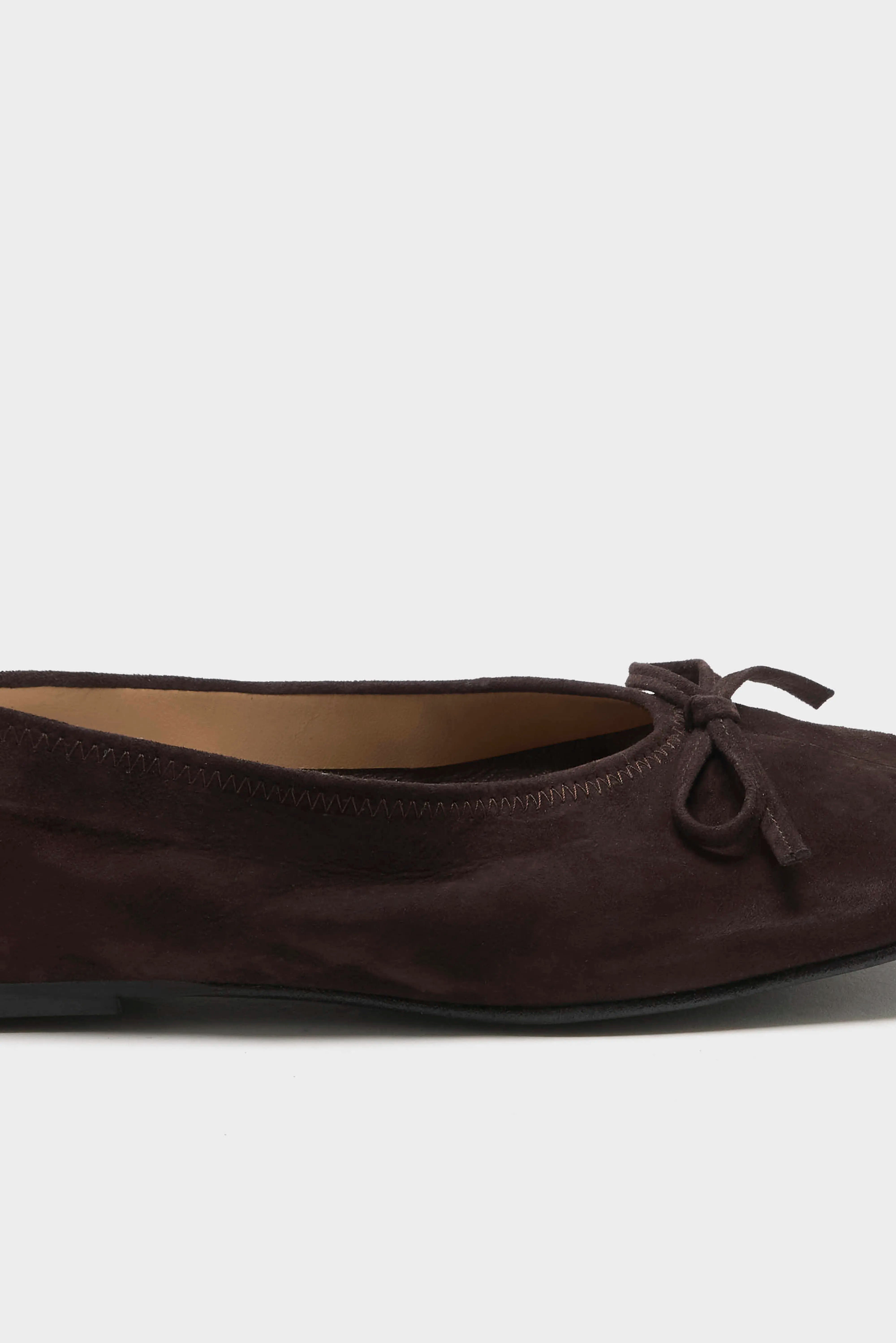 Blaise Ballerinas (262 / W / BROWN)