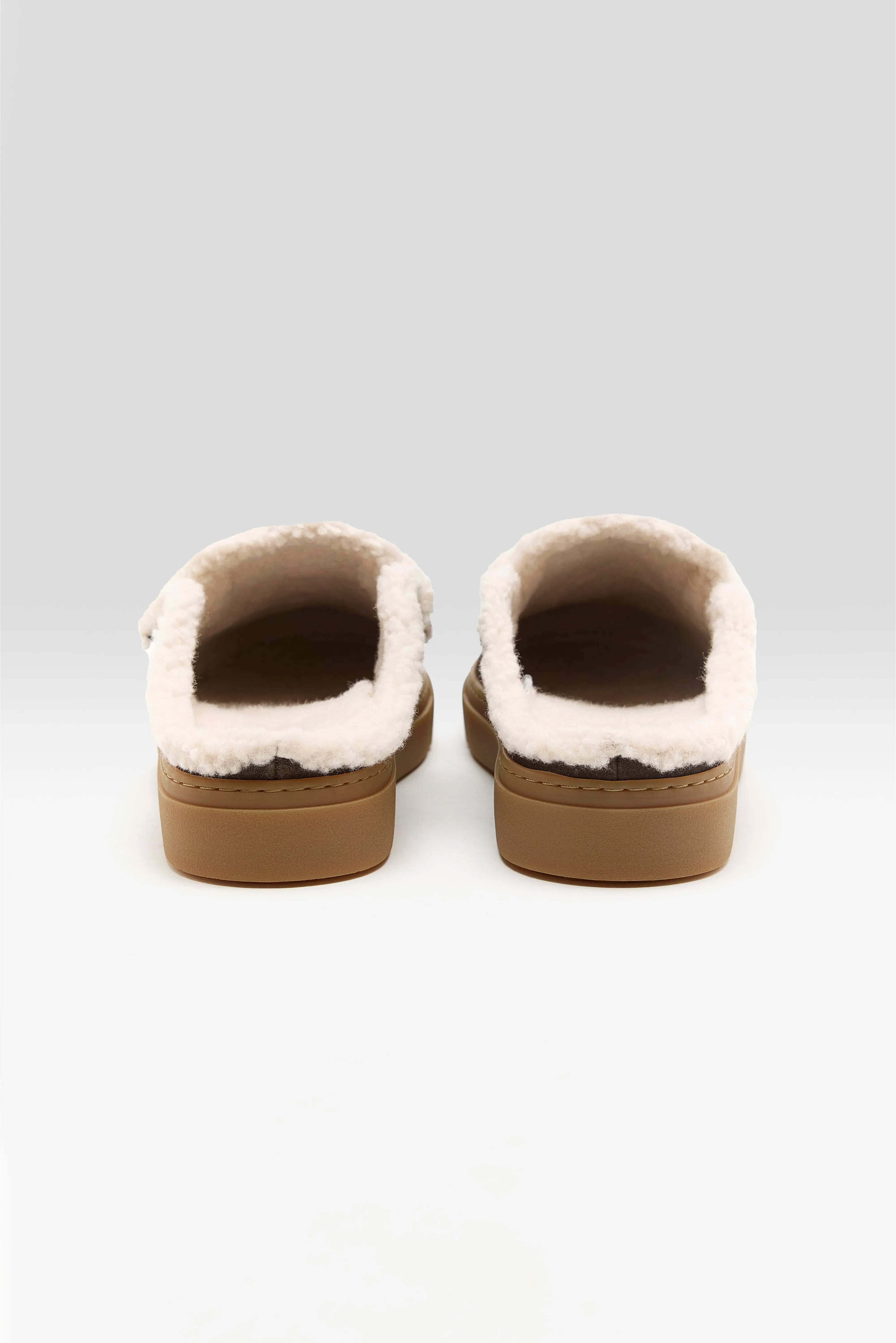 Wool Mules (252 / W / BROWN)