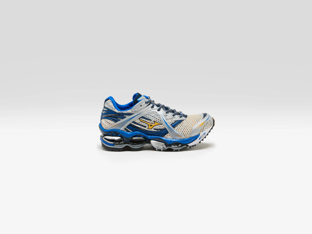 Wave Prophecy 1 for Women (262 / W / BLUE)