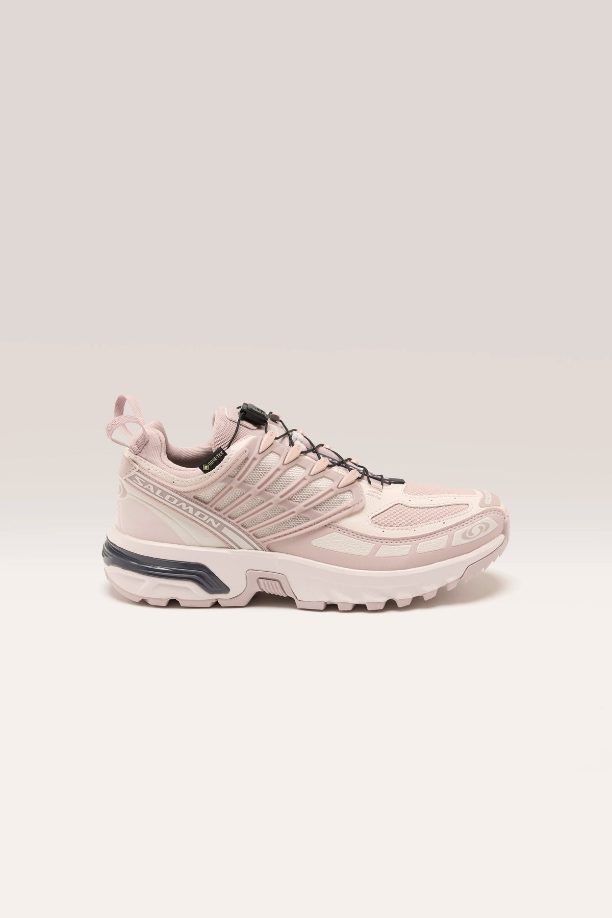 Acs Pro Gore-tex pour Femme (242 / W / LILAC)