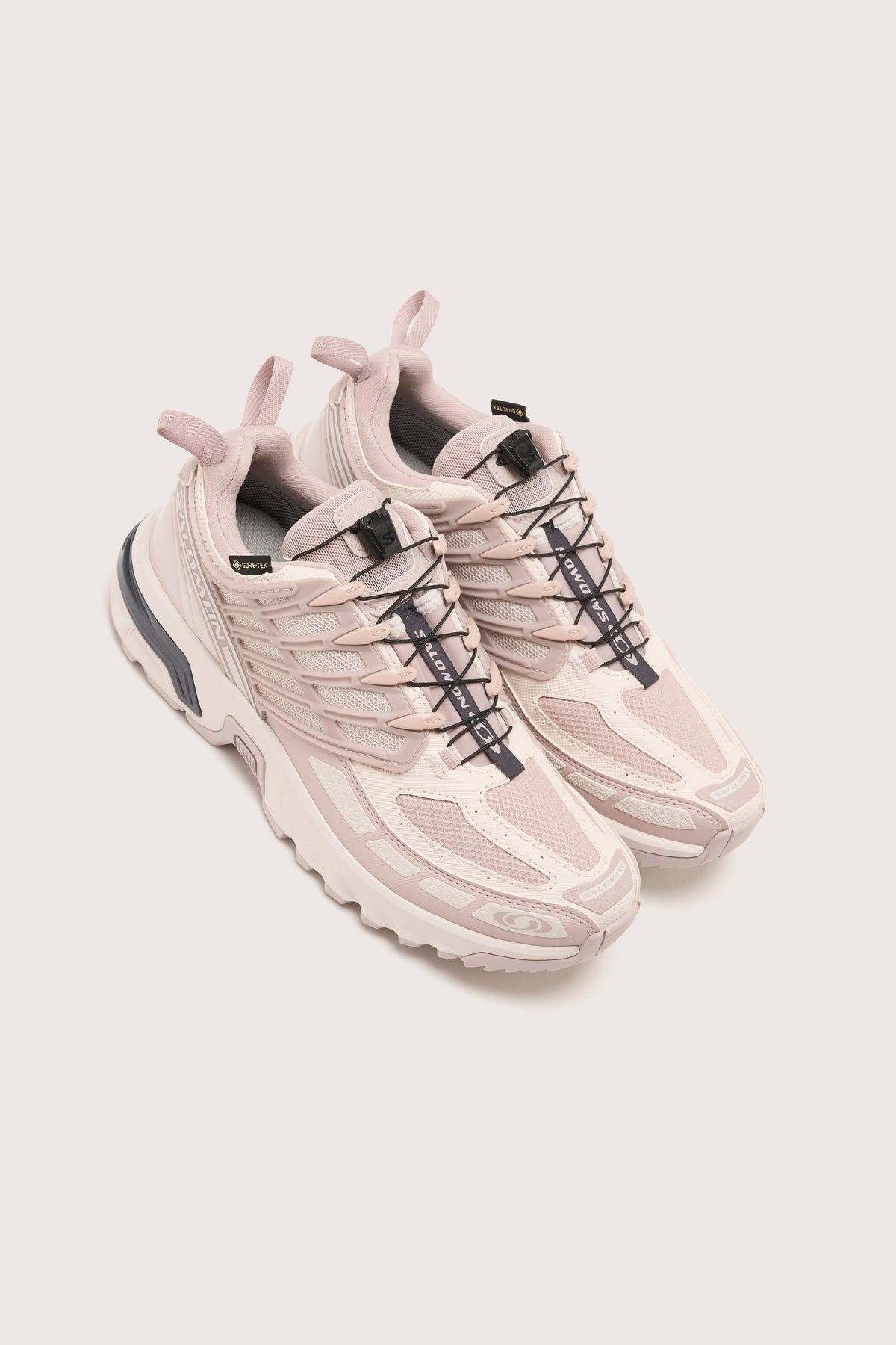 Acs Pro Gore-tex pour Femme (242 / W / LILAC)