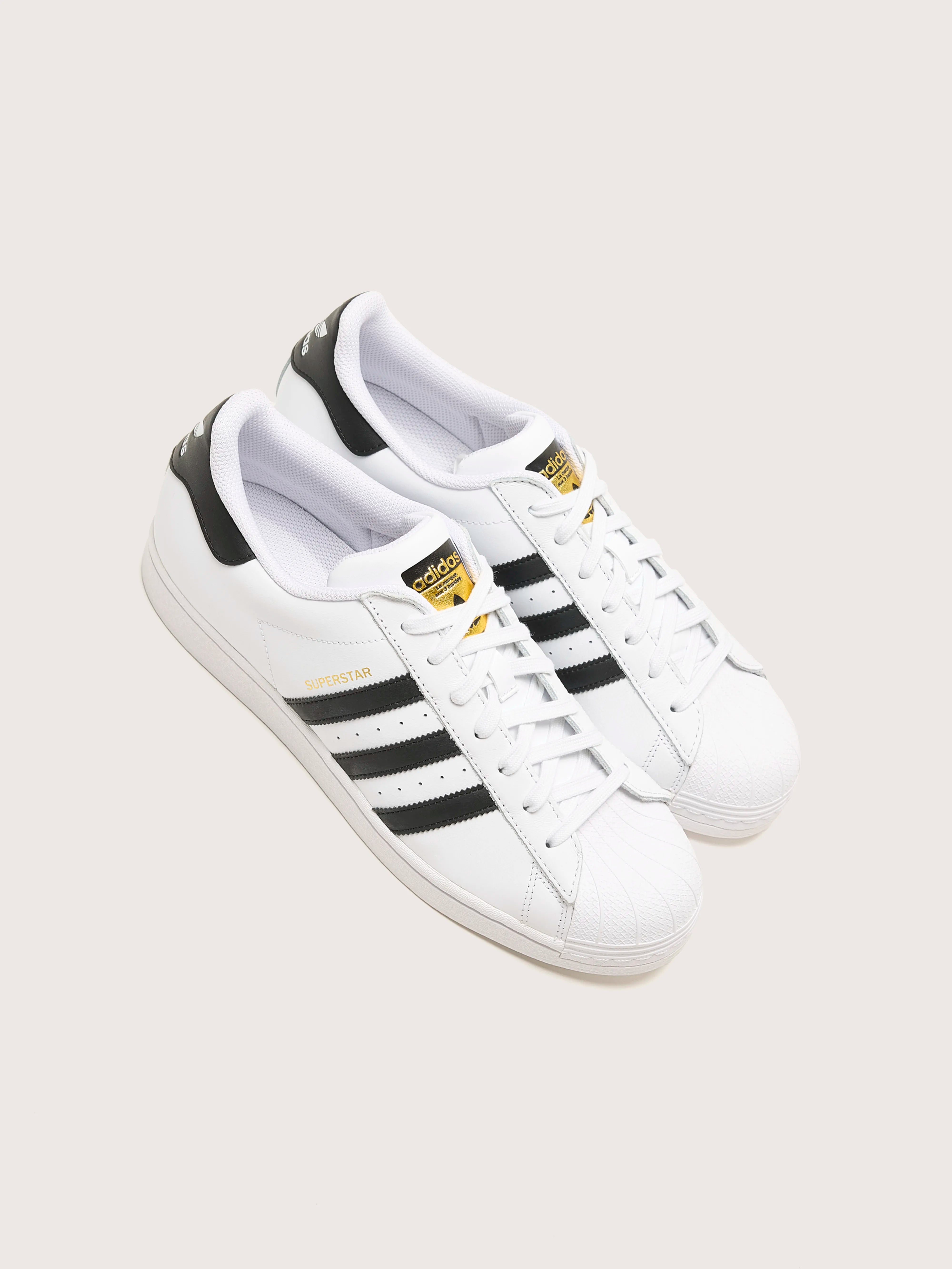 Adidas Superstar Sneakers for Men Bellerose