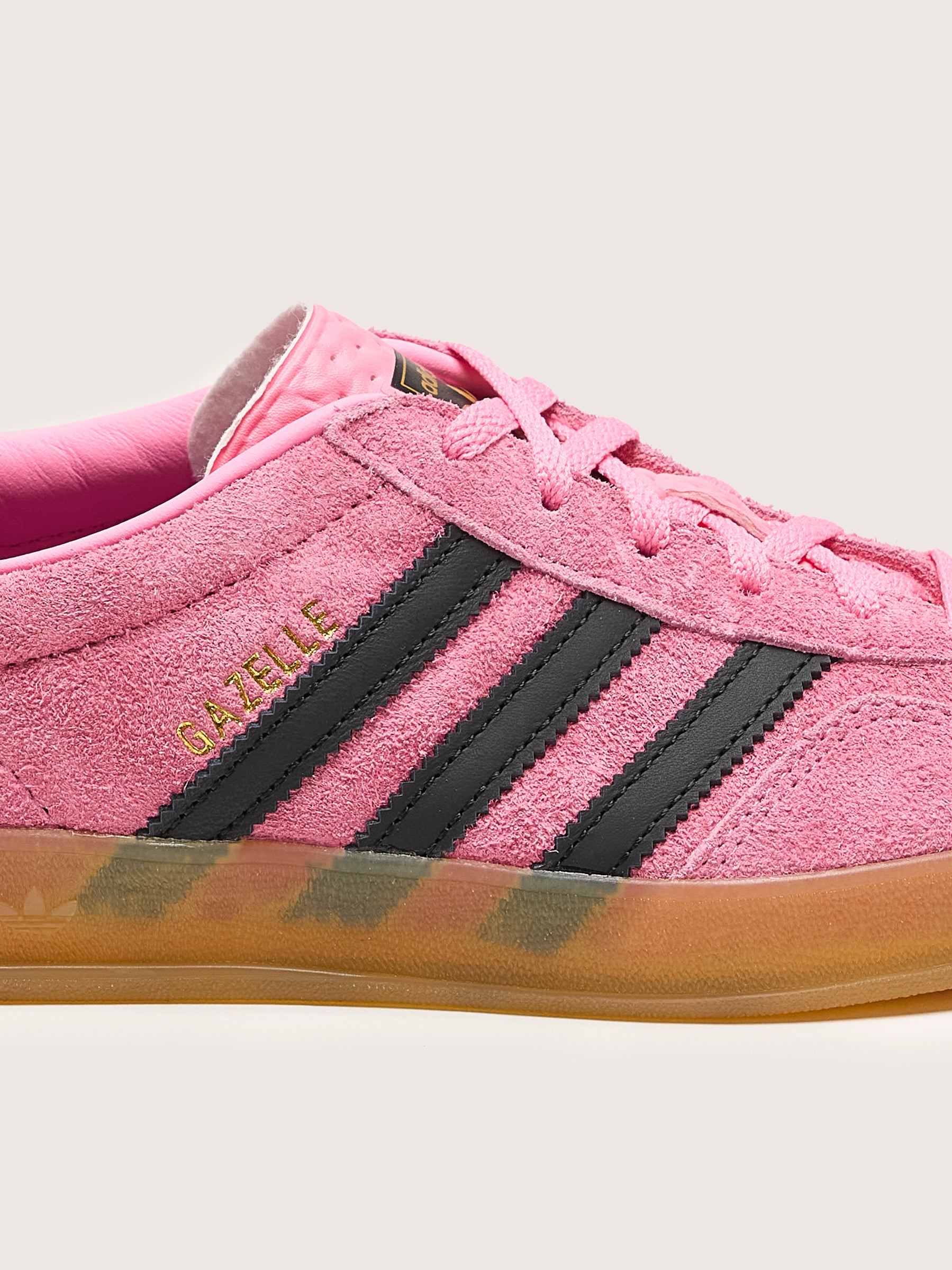 Gazelle Indoor voor Vrouwen (251 / W / PINK)