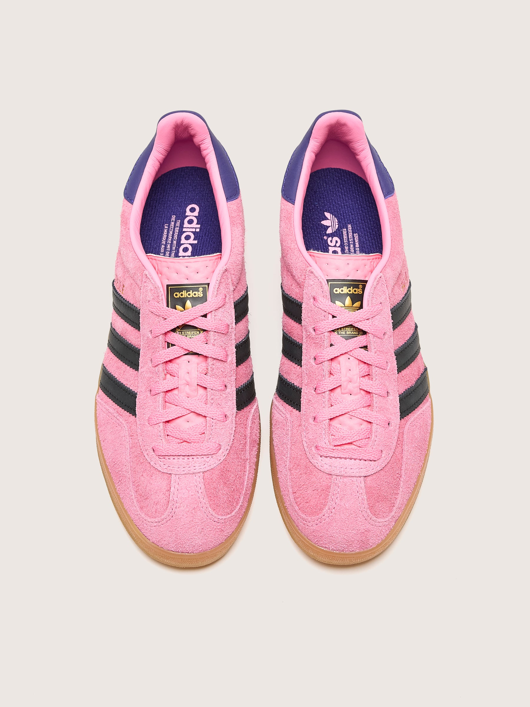 Gazelle Indoor for Women (251 / W / PINK)