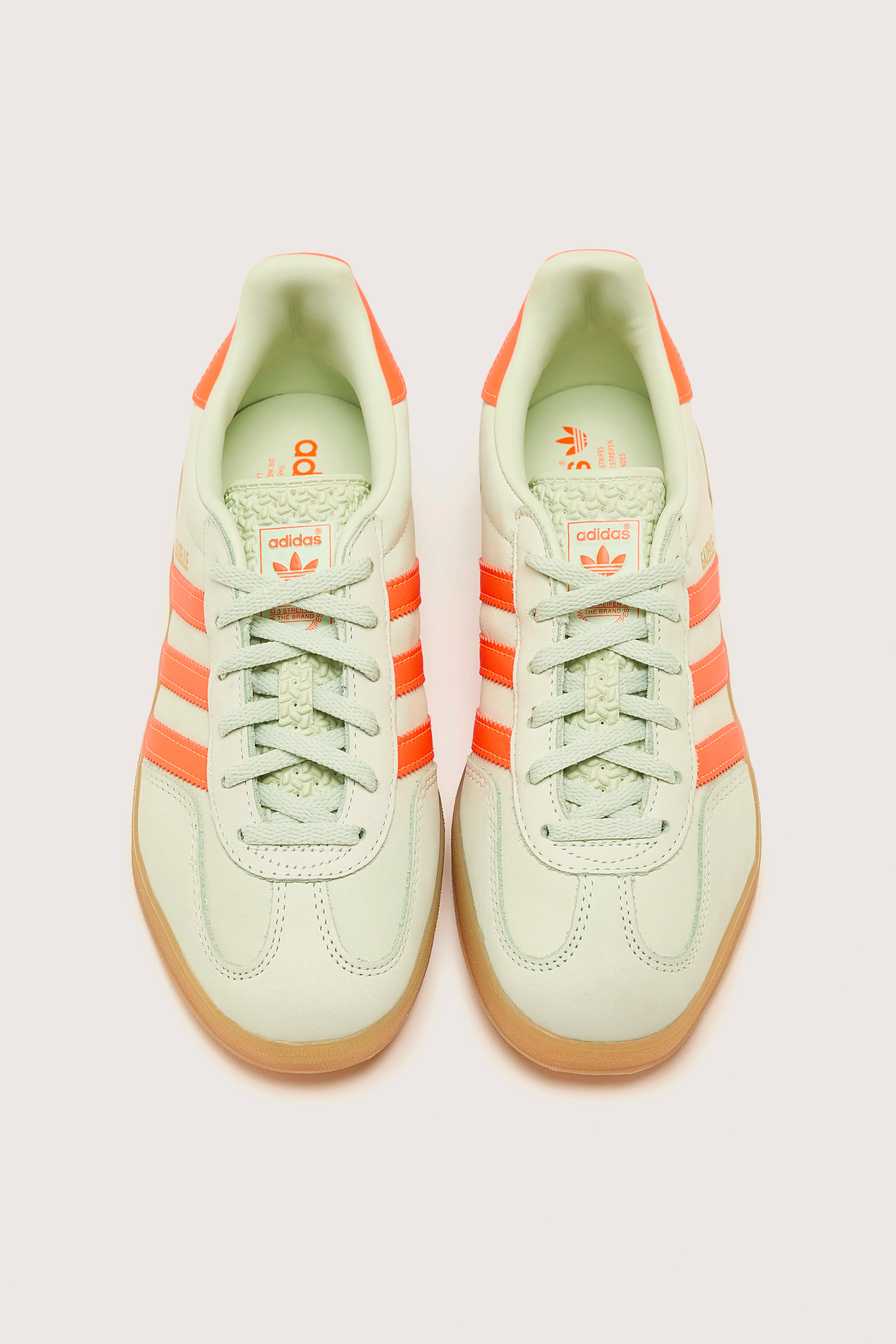 Gazelle Indoor voor Vrouwen (242 / W / ORANGE)