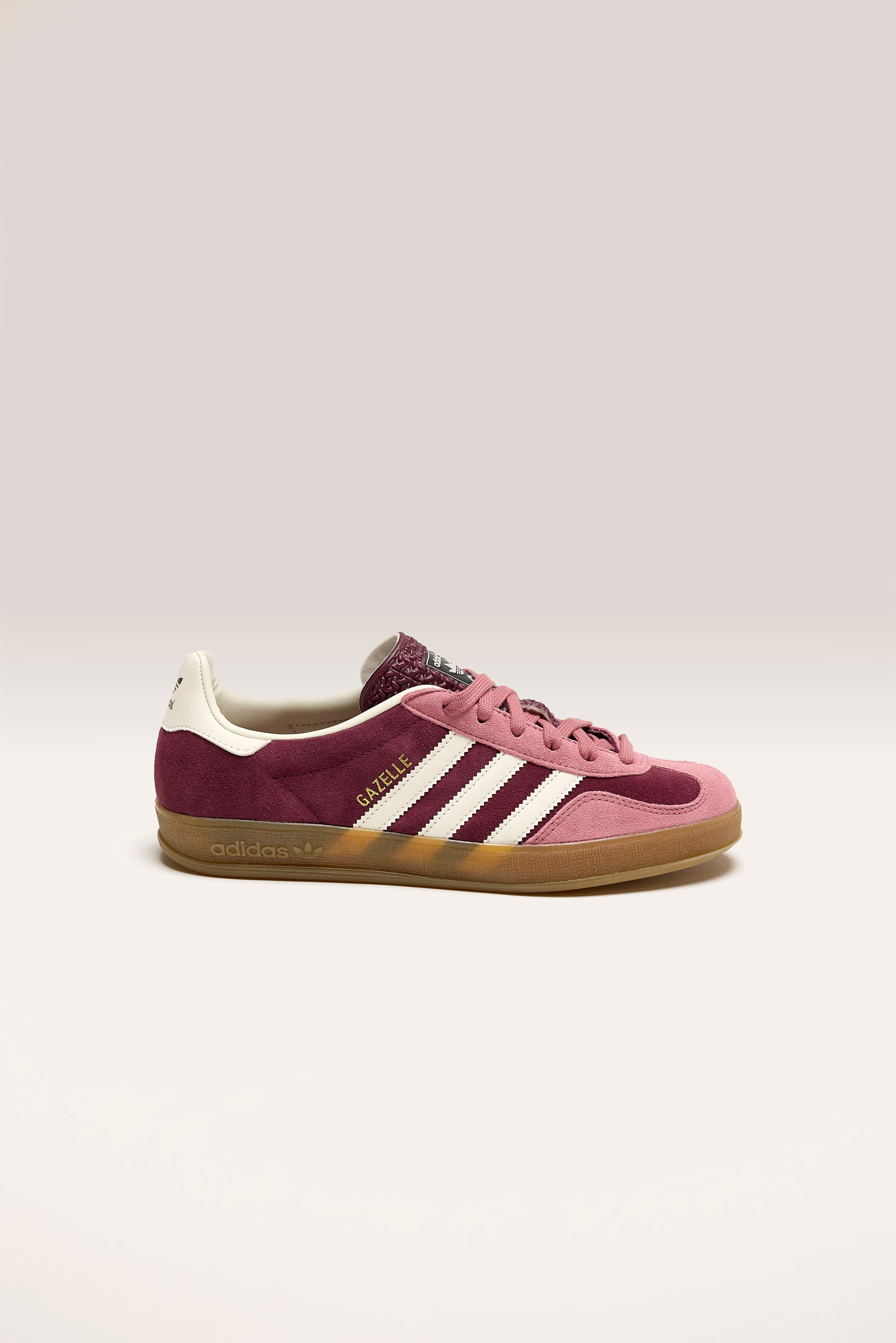 Gazelle Indoor voor Vrouwen (242 / W / BURGUNDY)