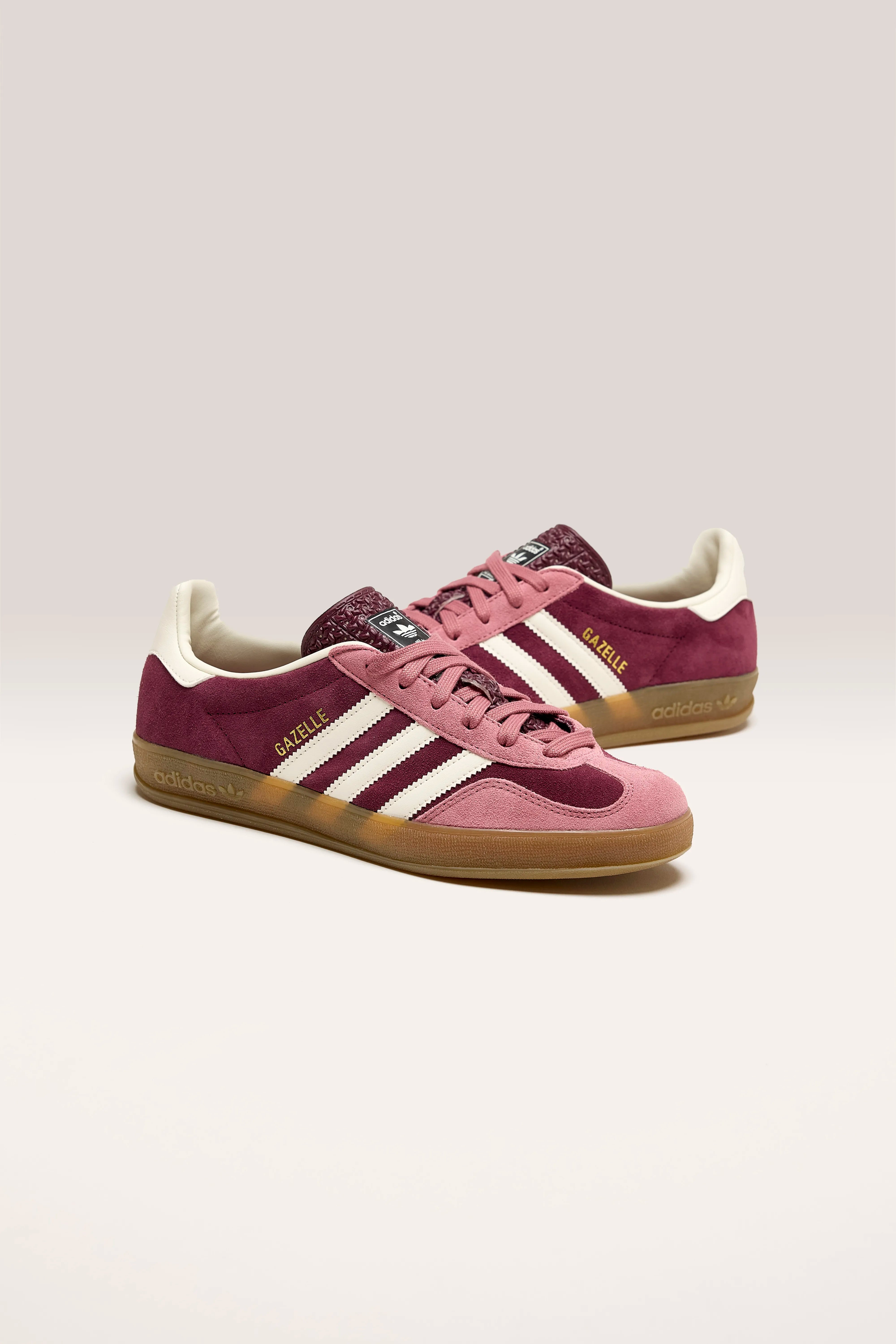 Gazelle Indoor voor Vrouwen (242 / W / BURGUNDY)