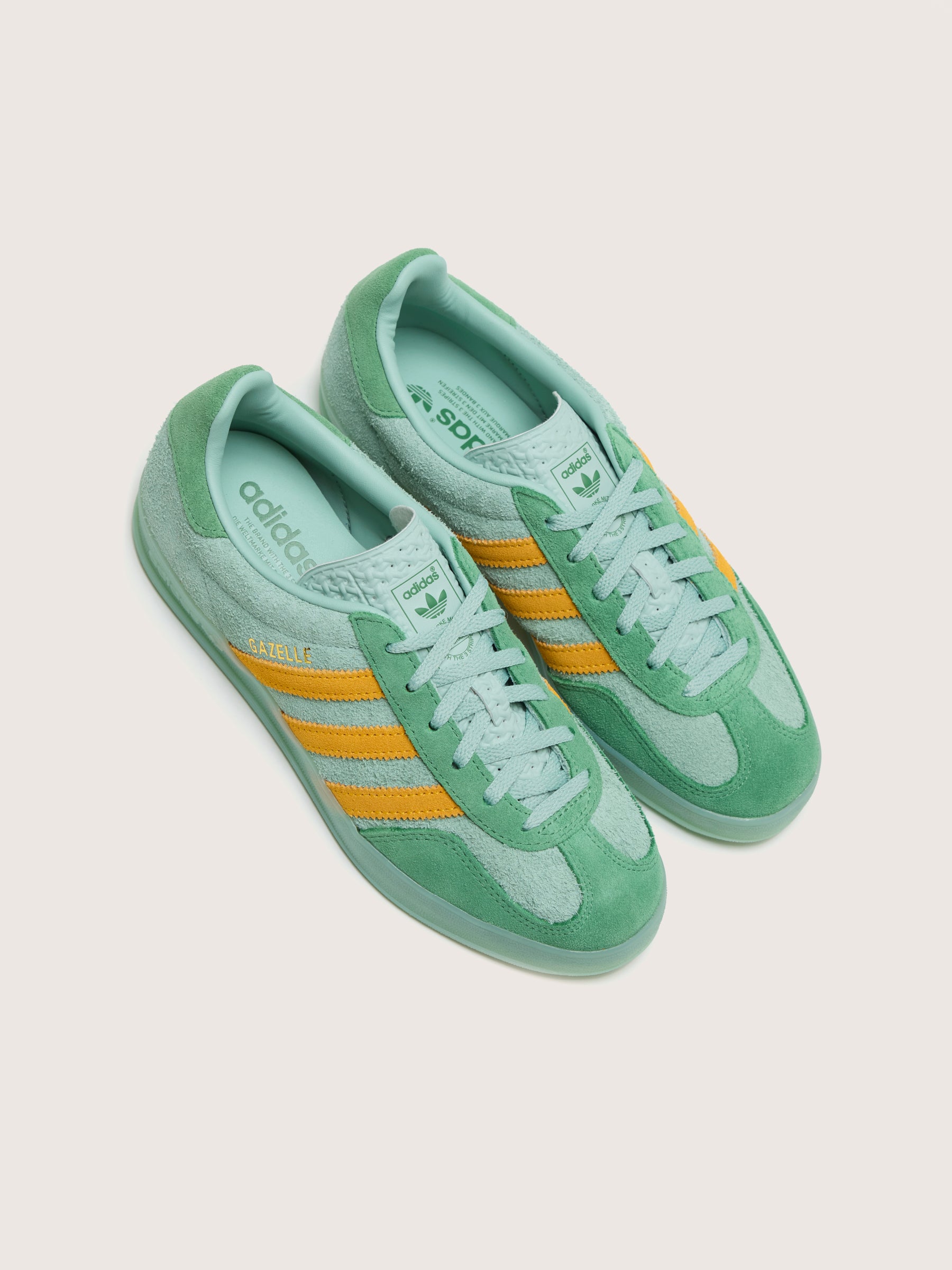 Gazelle Indoor voor Vrouwen (242 / W / LIME)