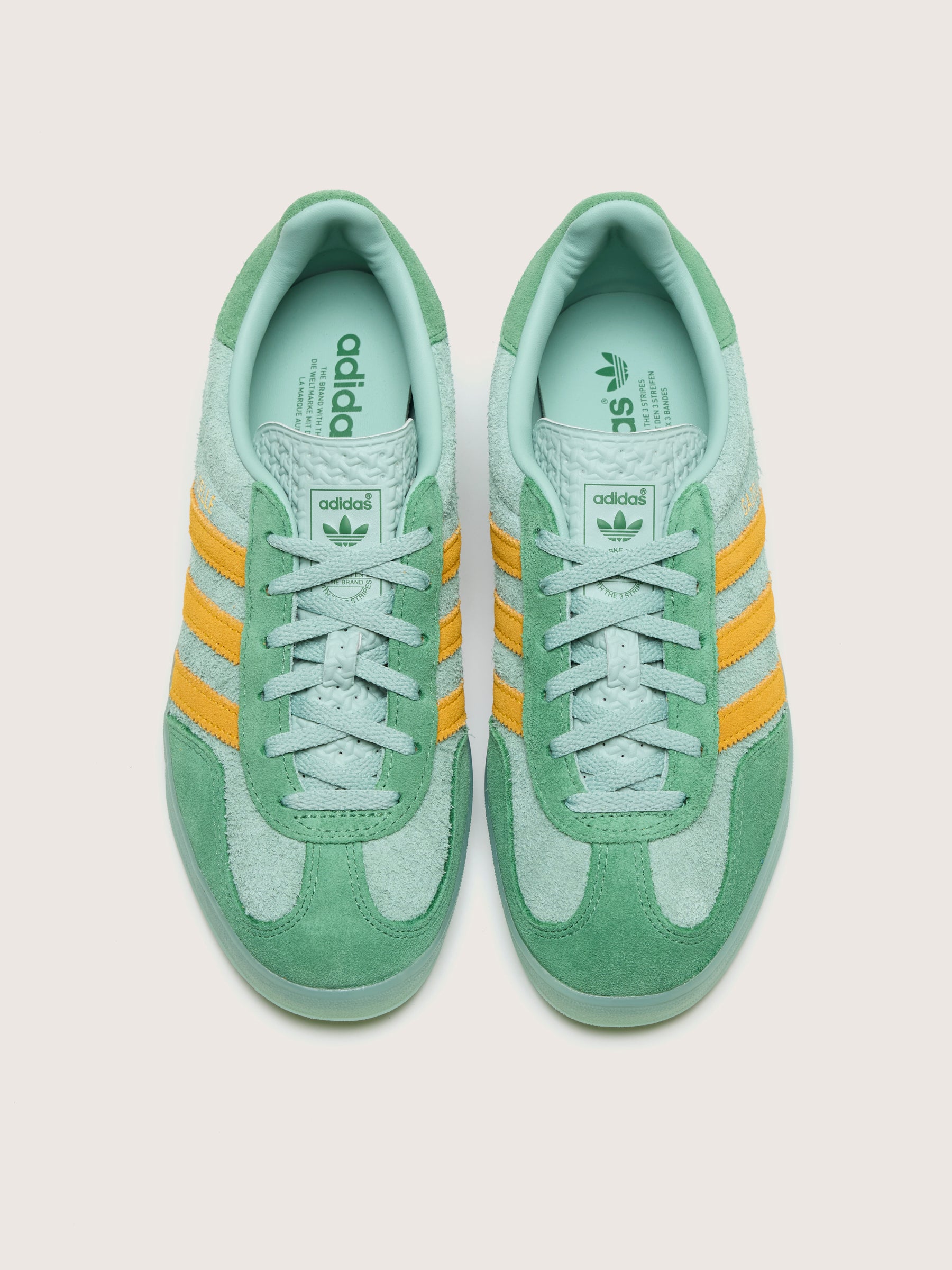 Gazelle Indoor voor Vrouwen (242 / W / LIME)