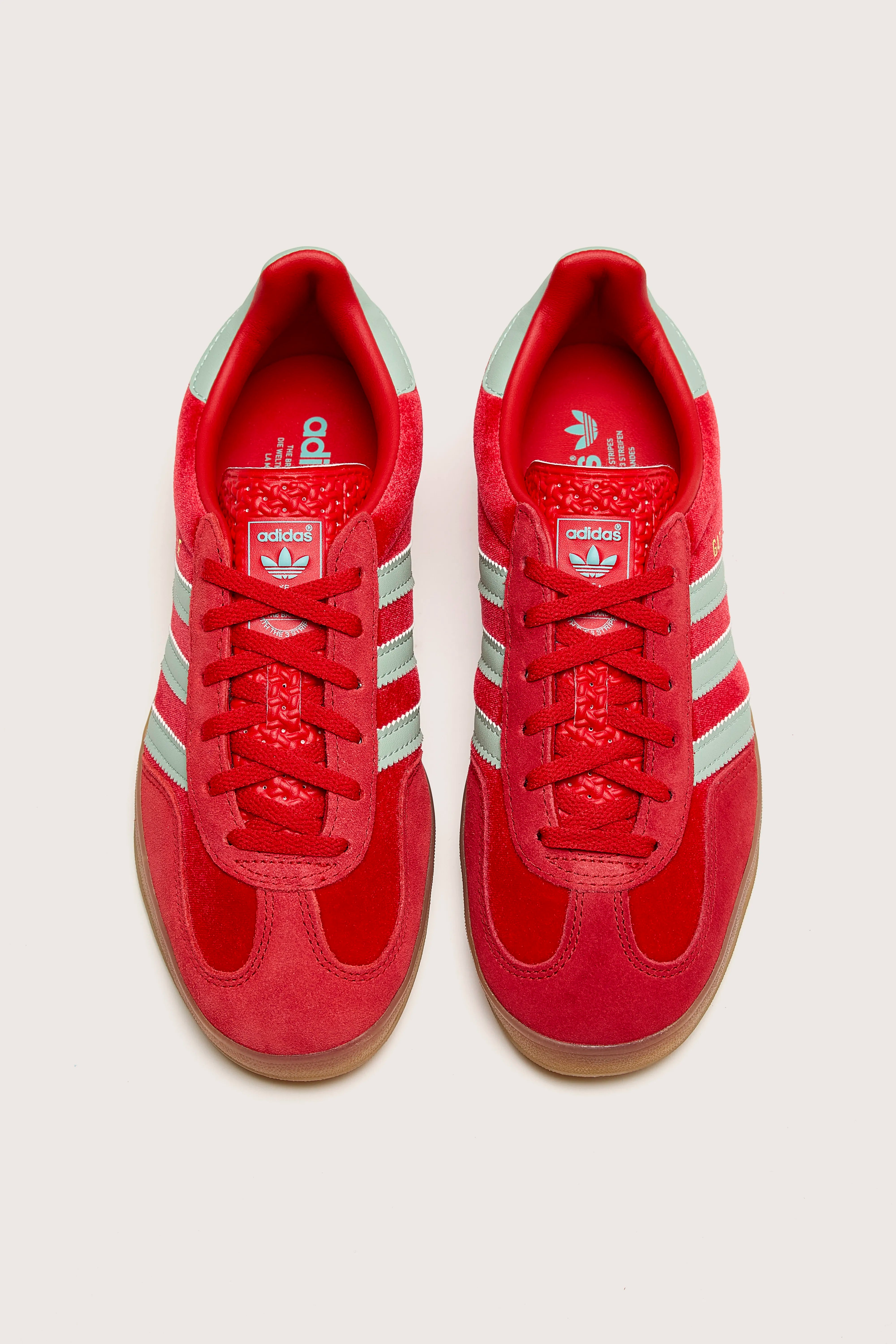 Gazelle Indoor voor Vrouwen (242 / W / RED)