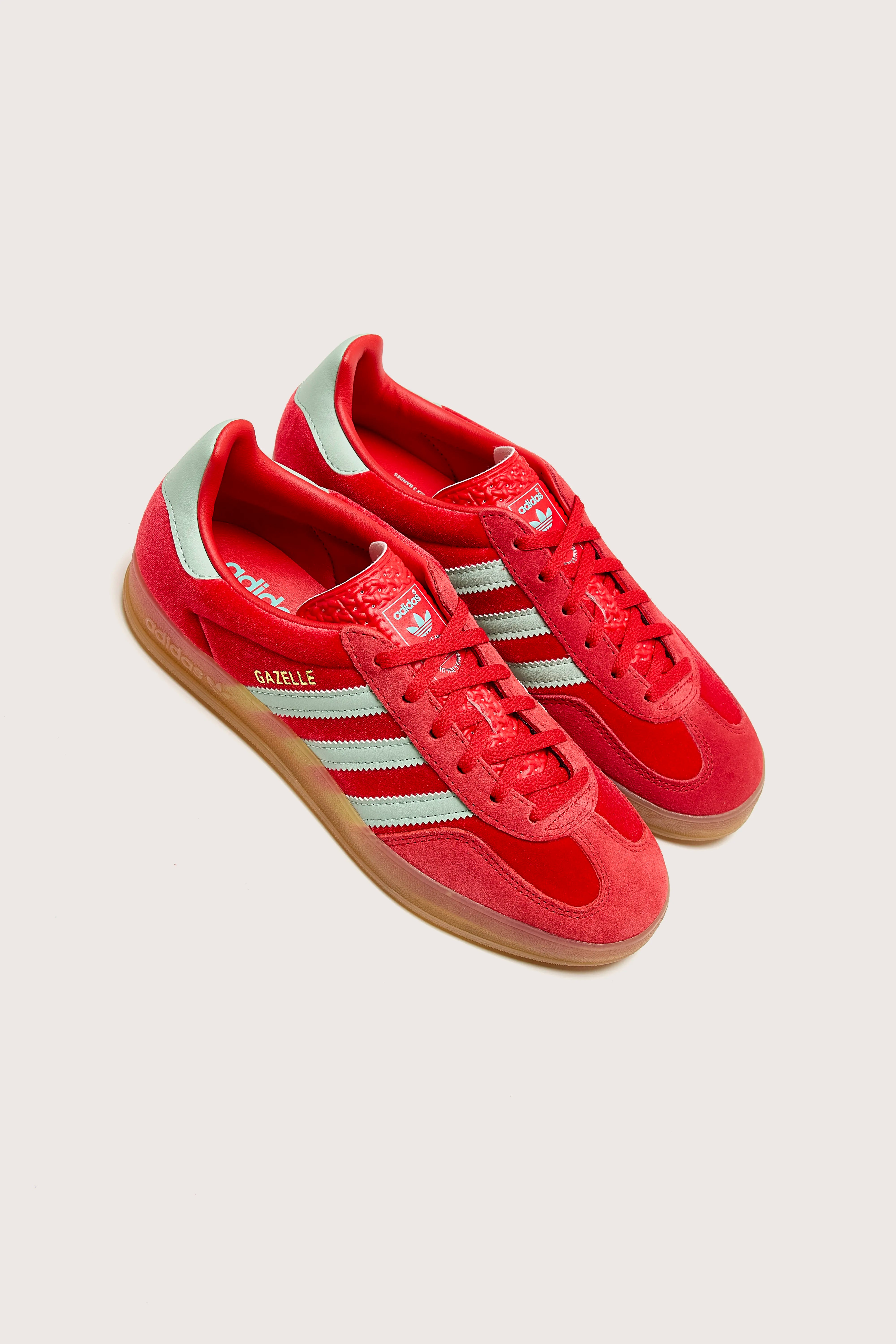 Gazelle Indoor for Women (242 / W / RED)