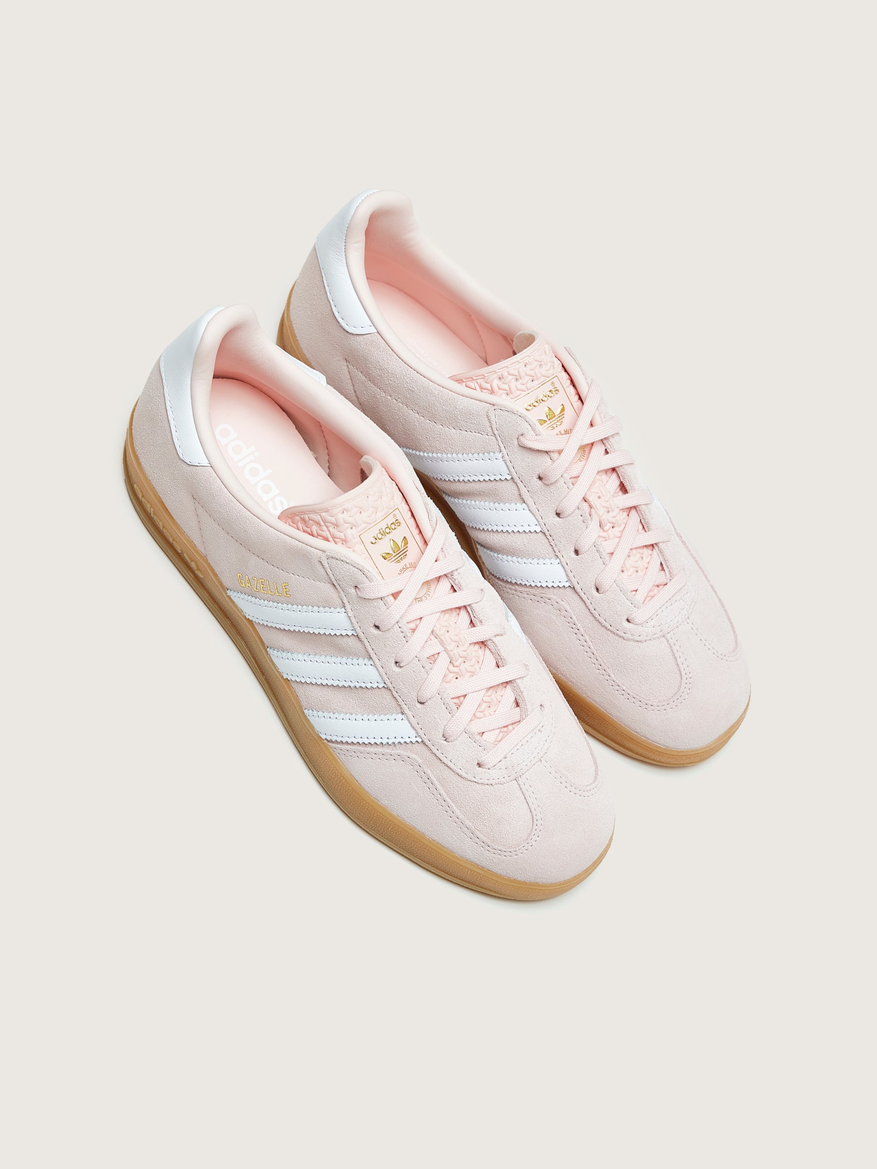 Gazelle Indoor voor Vrouwen (242 / W / PINK)