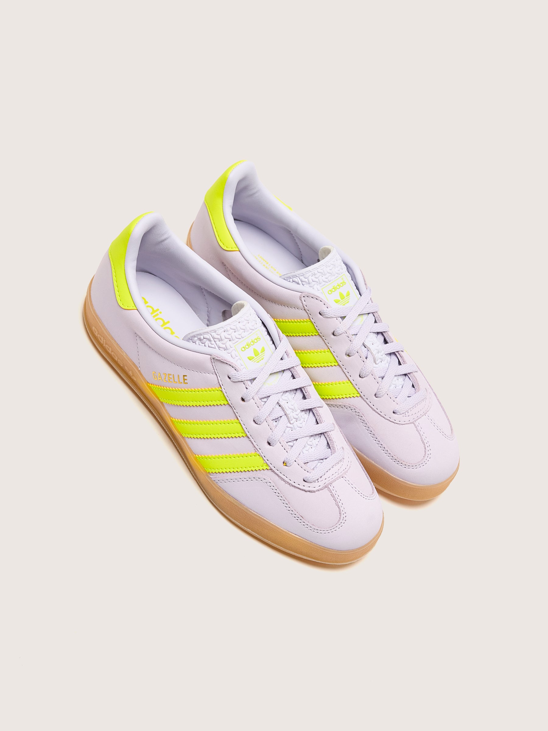 Gazelle Indoor voor Vrouwen (242 / W / PURPLE)