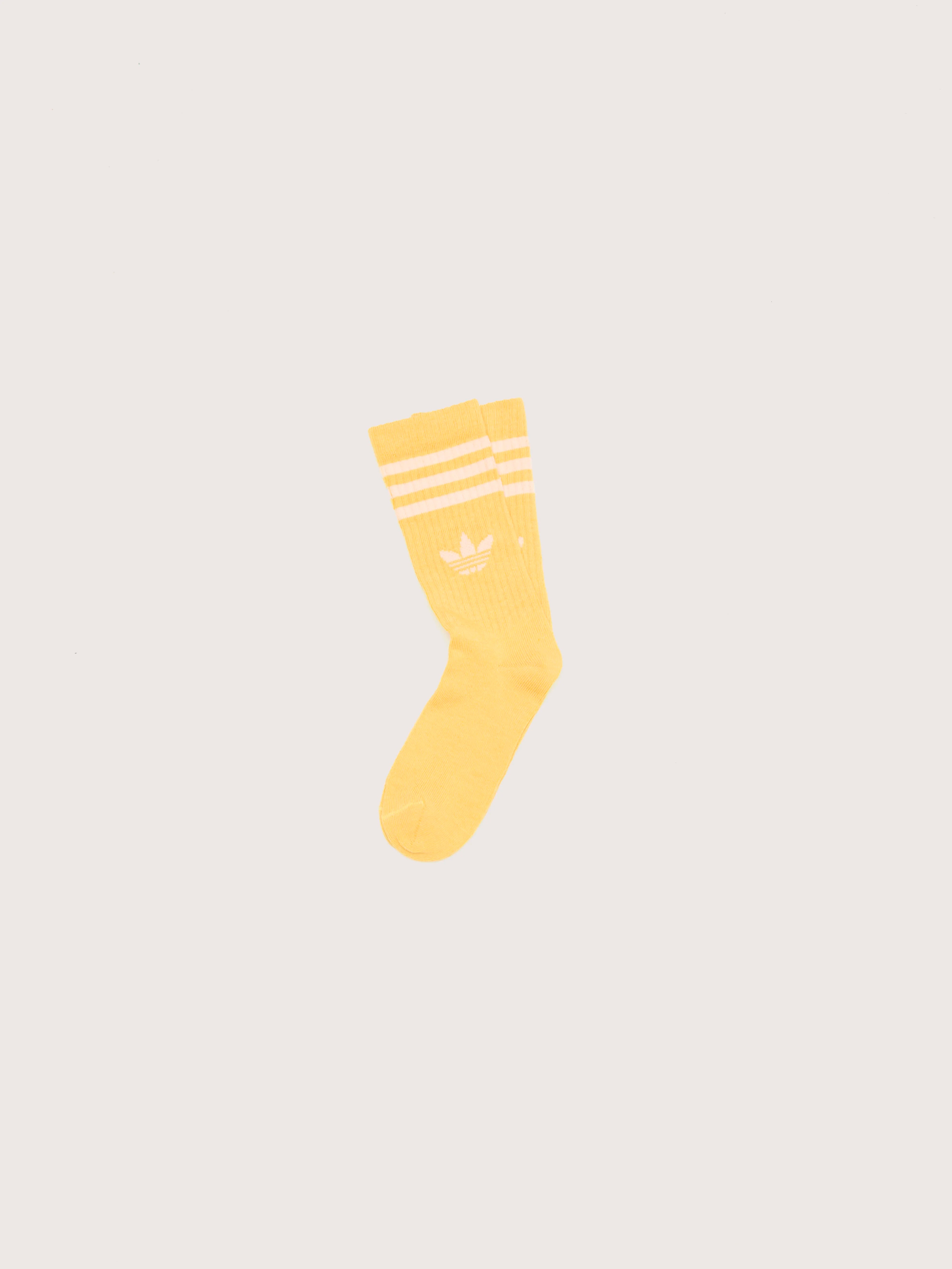 Crew Socks for Juniors (242 / G / MULTICOLOR)