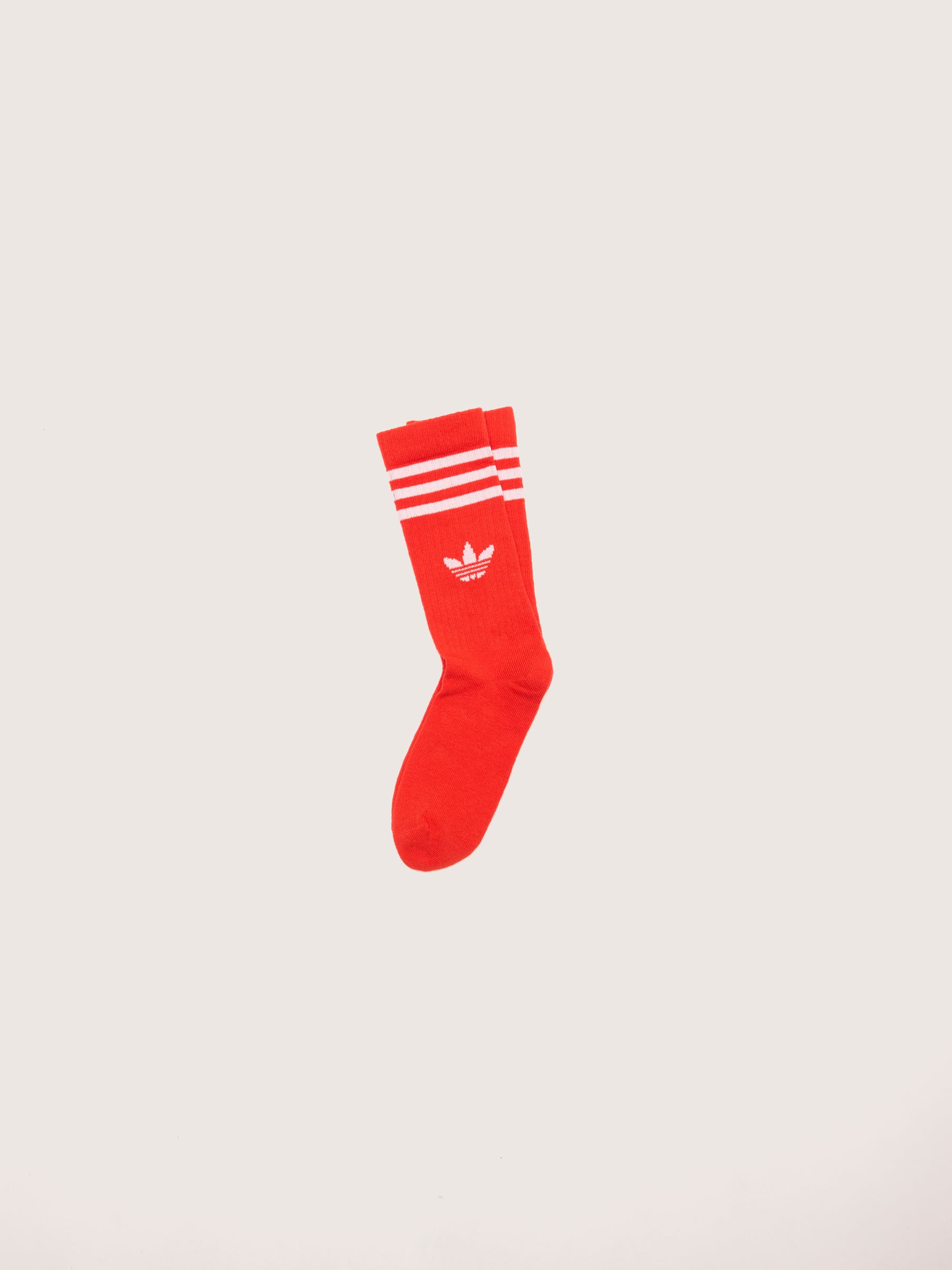 Crew Socks For Juniors For Girls | Bellerose